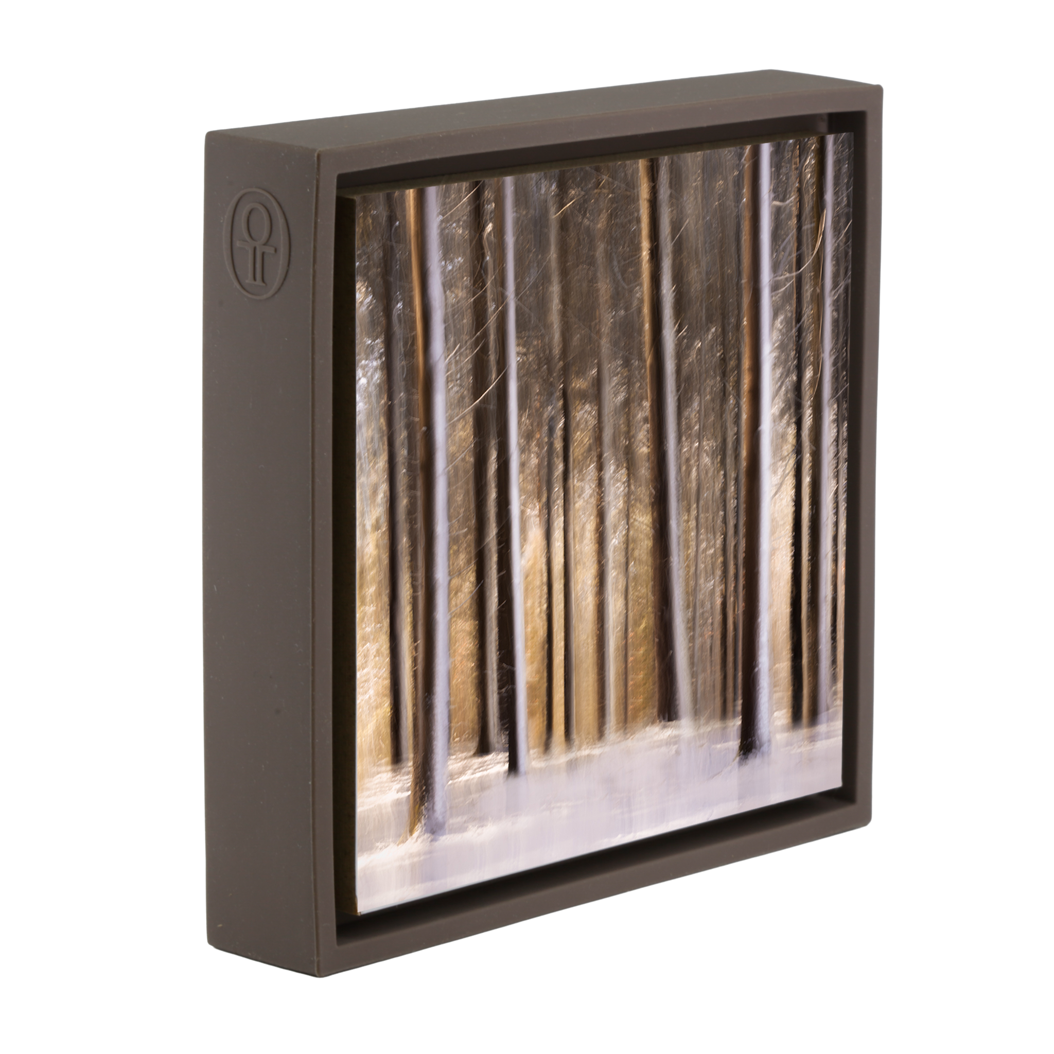 Sonnenbeschienener Wald in schneeweißem Braunen Umschlag