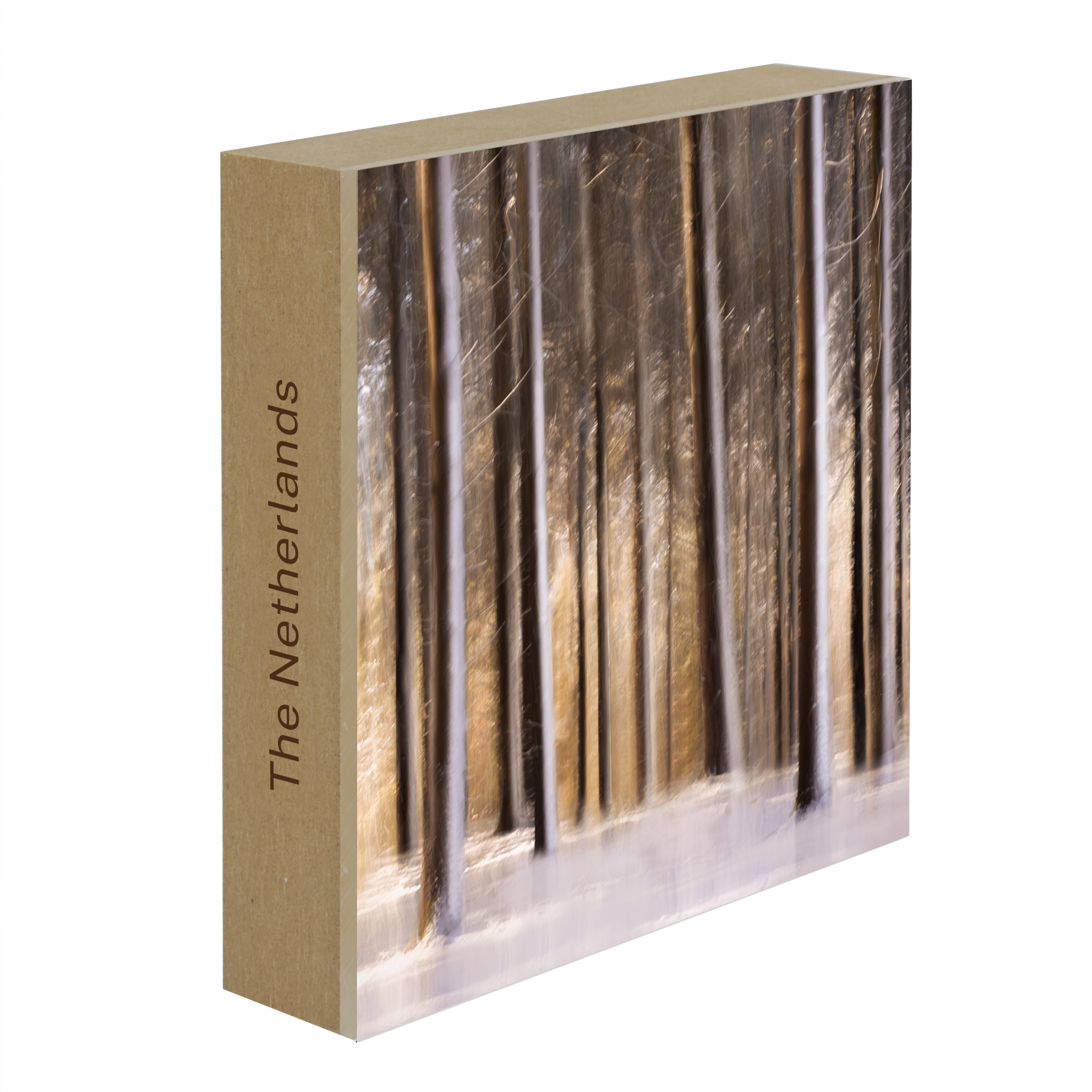 Sunlit Forest in Snow- Collection: The Netherlands