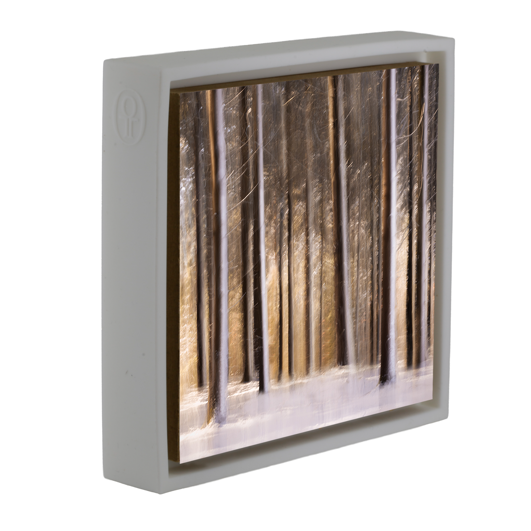 Sonnenbeschienener Wald in schneeweißer Hülle