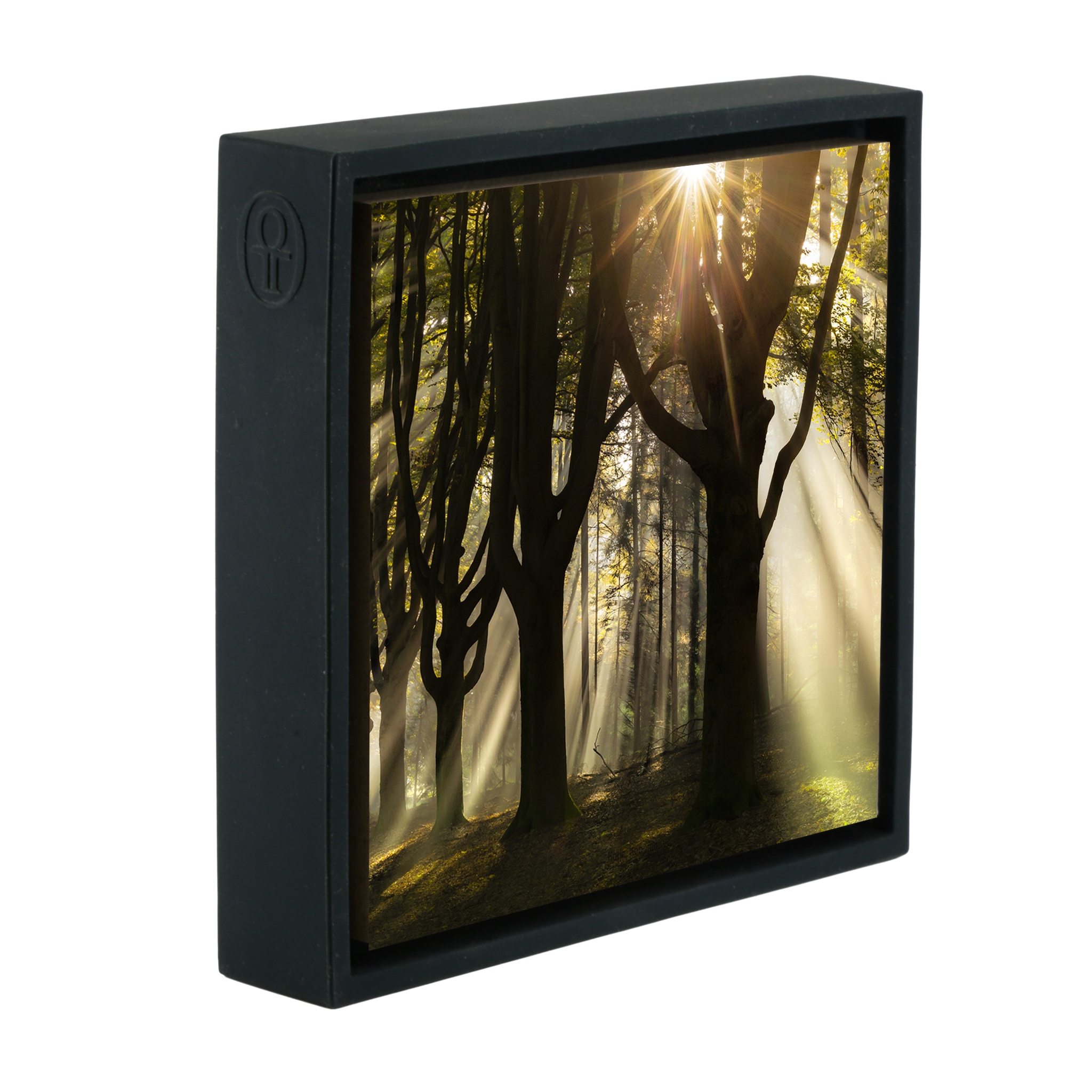 God Rays- Black Wrapp