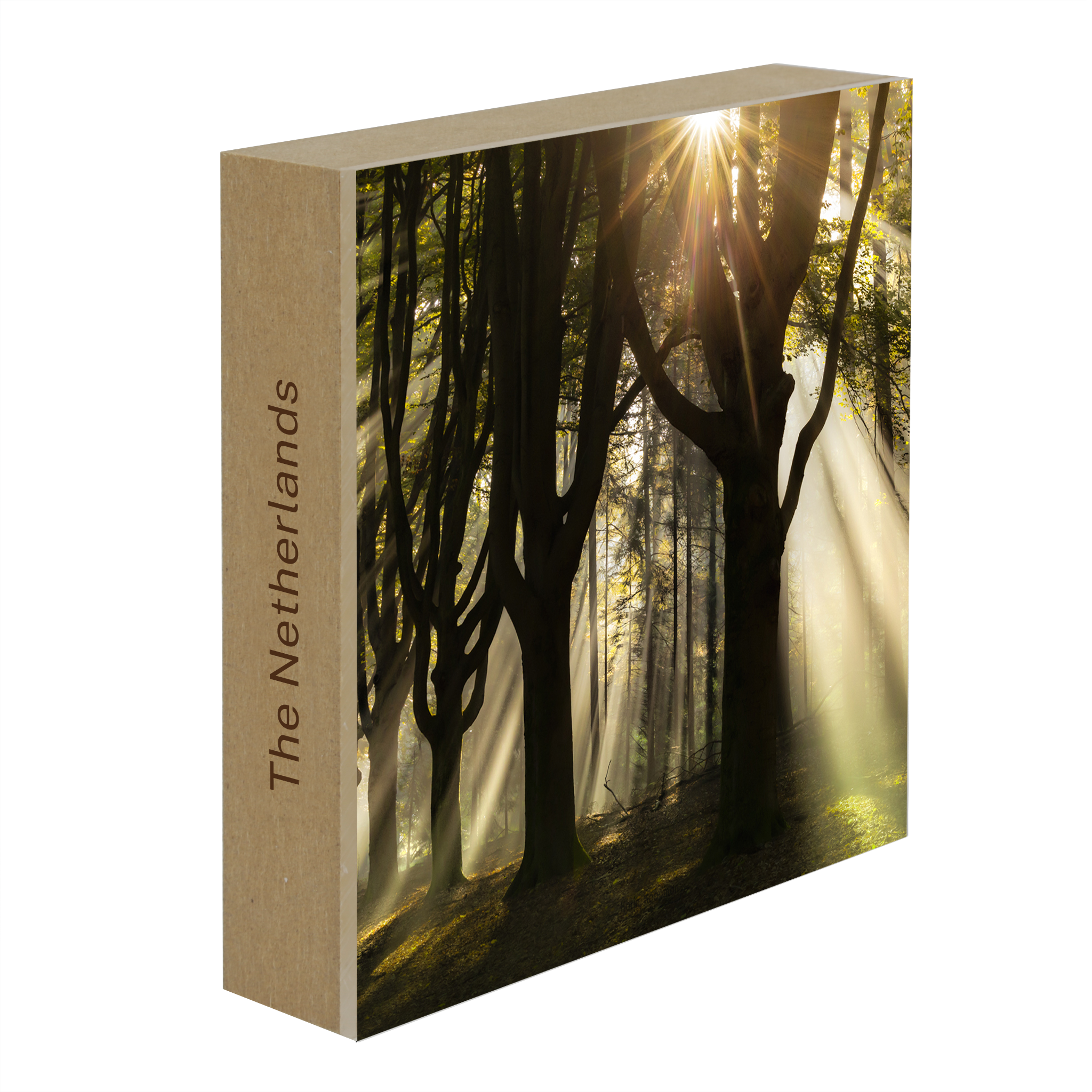 God Rays- Collection: The Netherlands