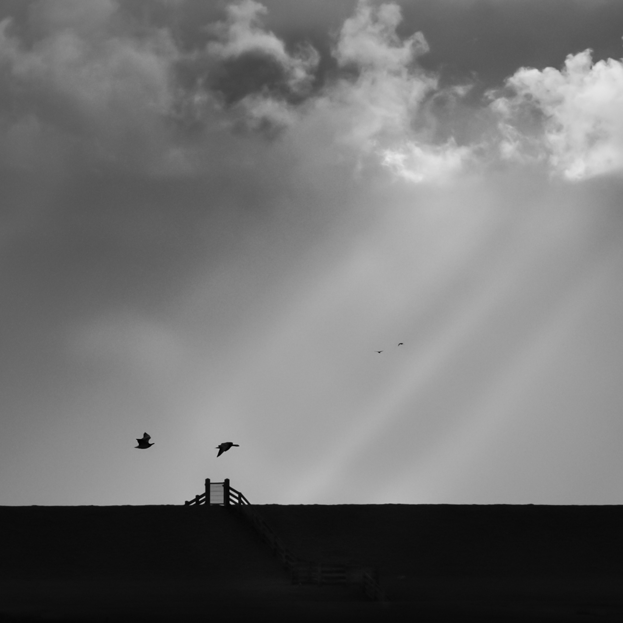 Our Dike- Collection: The Netherlands