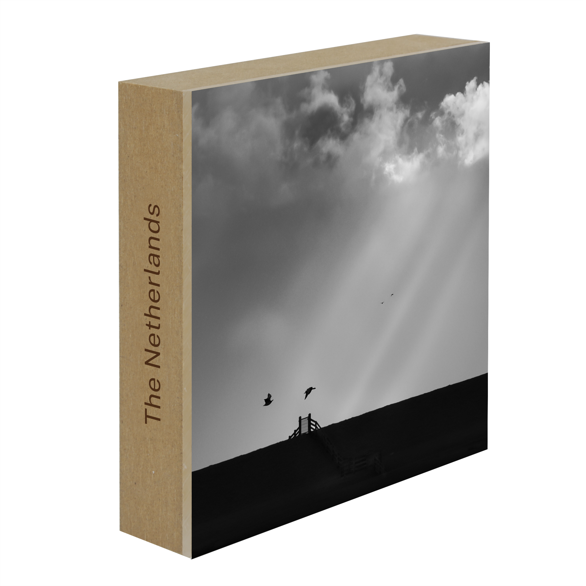 Our Dike- Collection: The Netherlands