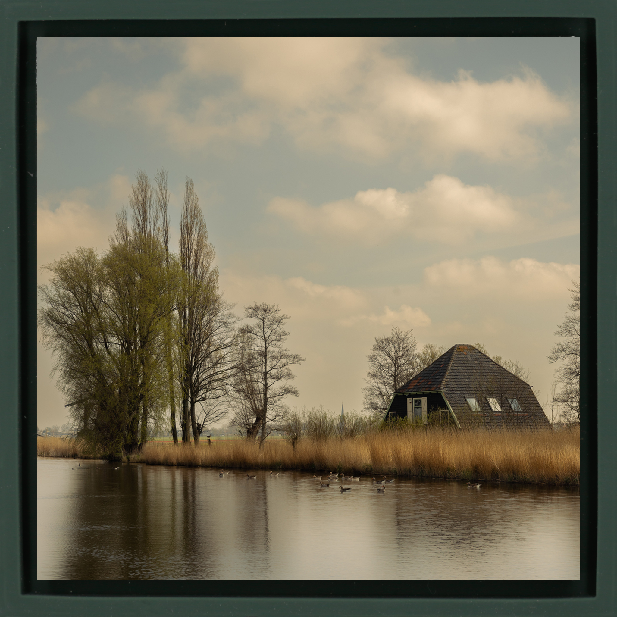 Timeless Holland - Donkergroene Wrapp