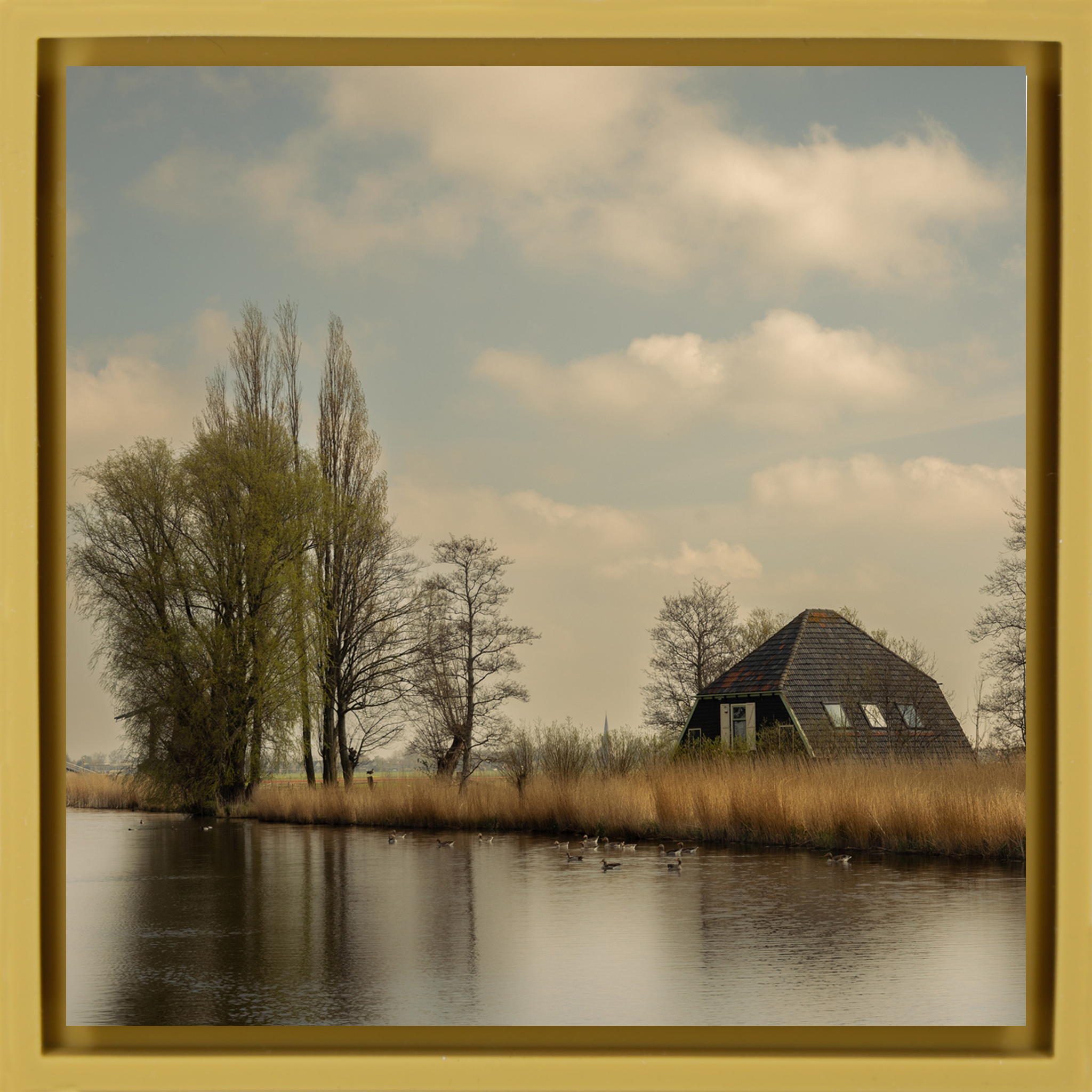Timeless Holland - Okergele Wrapp