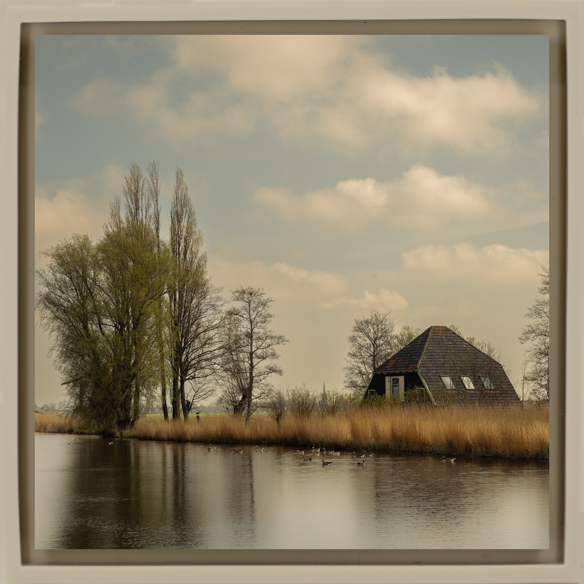 Timeless Holland- Sand Wrapp