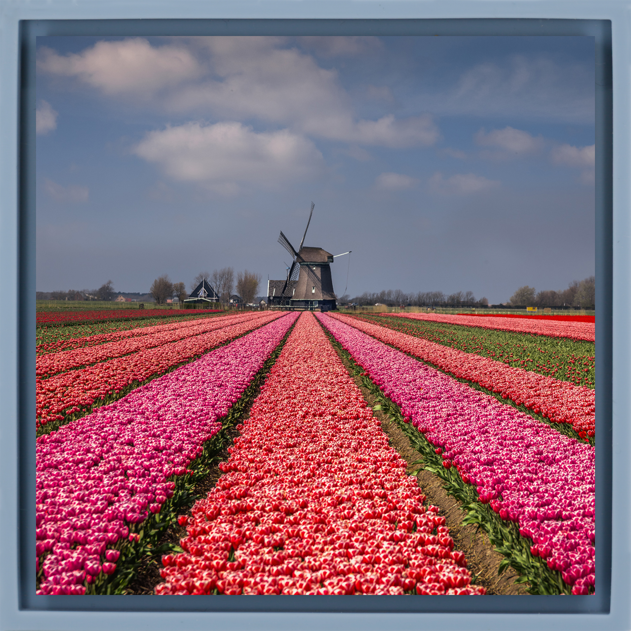 Wunderbar holländisch – Hellblaue Verpackung