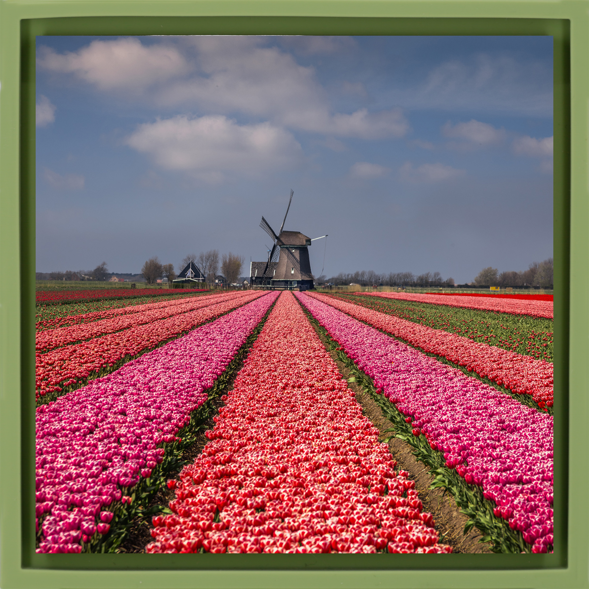 Wonderfully Dutch- Light Green Wrapp