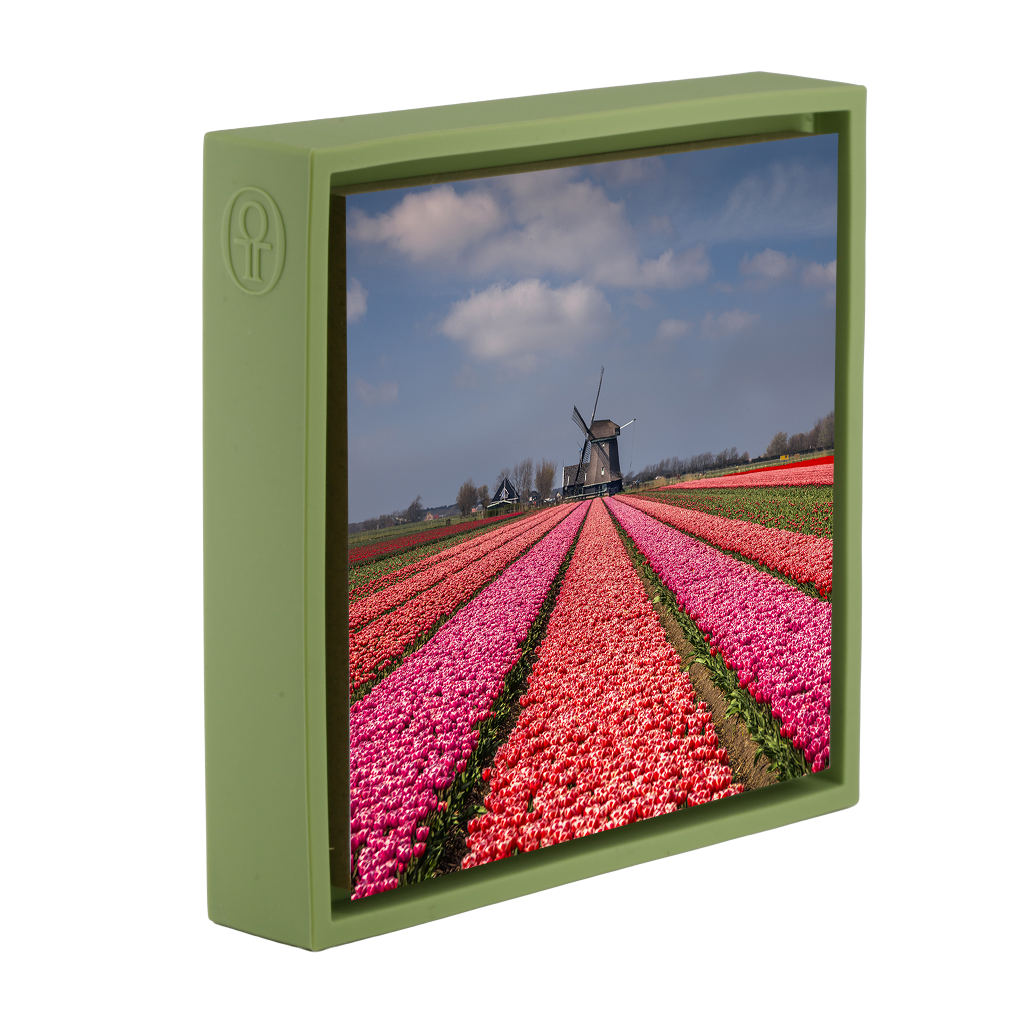 Wonderfully Dutch- Light Green Wrapp