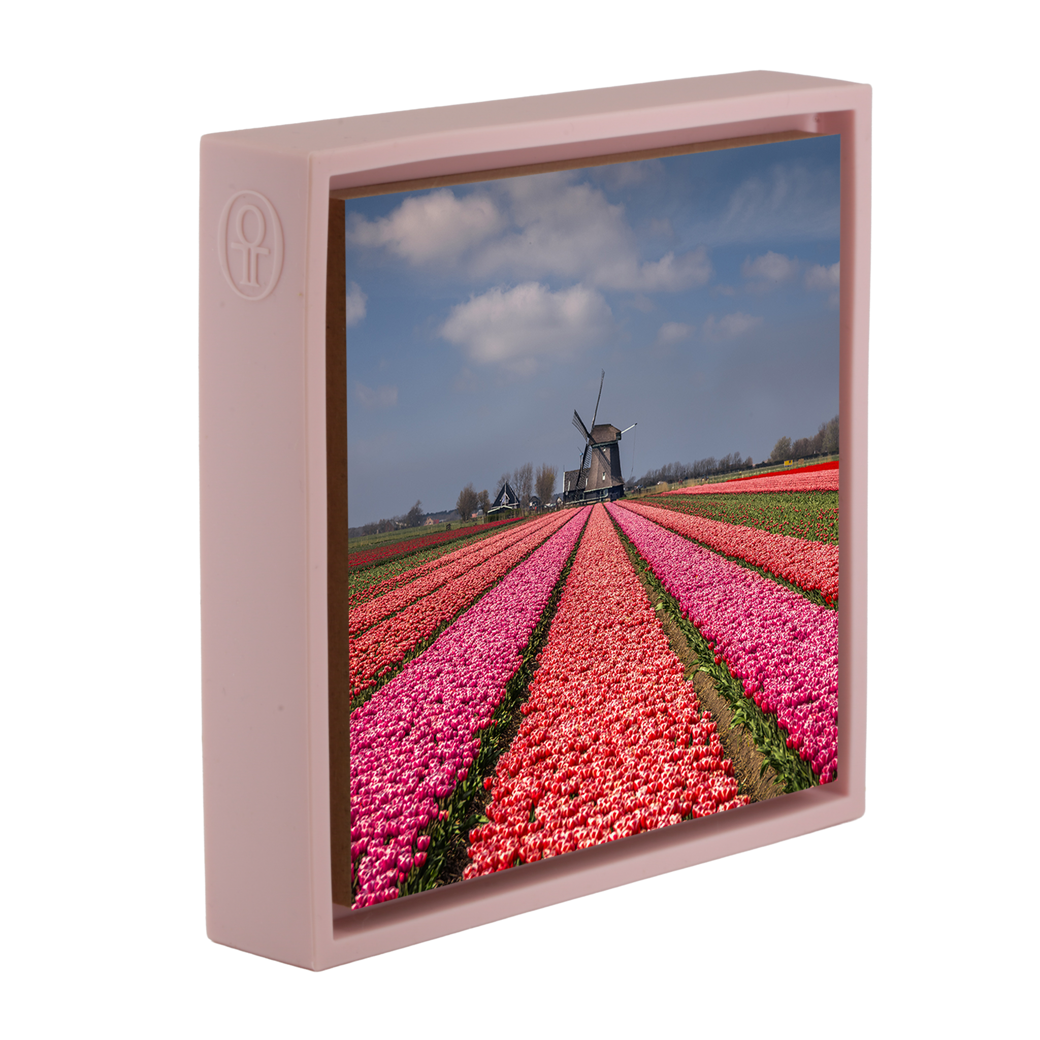 Wunderbar holländisch – Rosa Verpackung