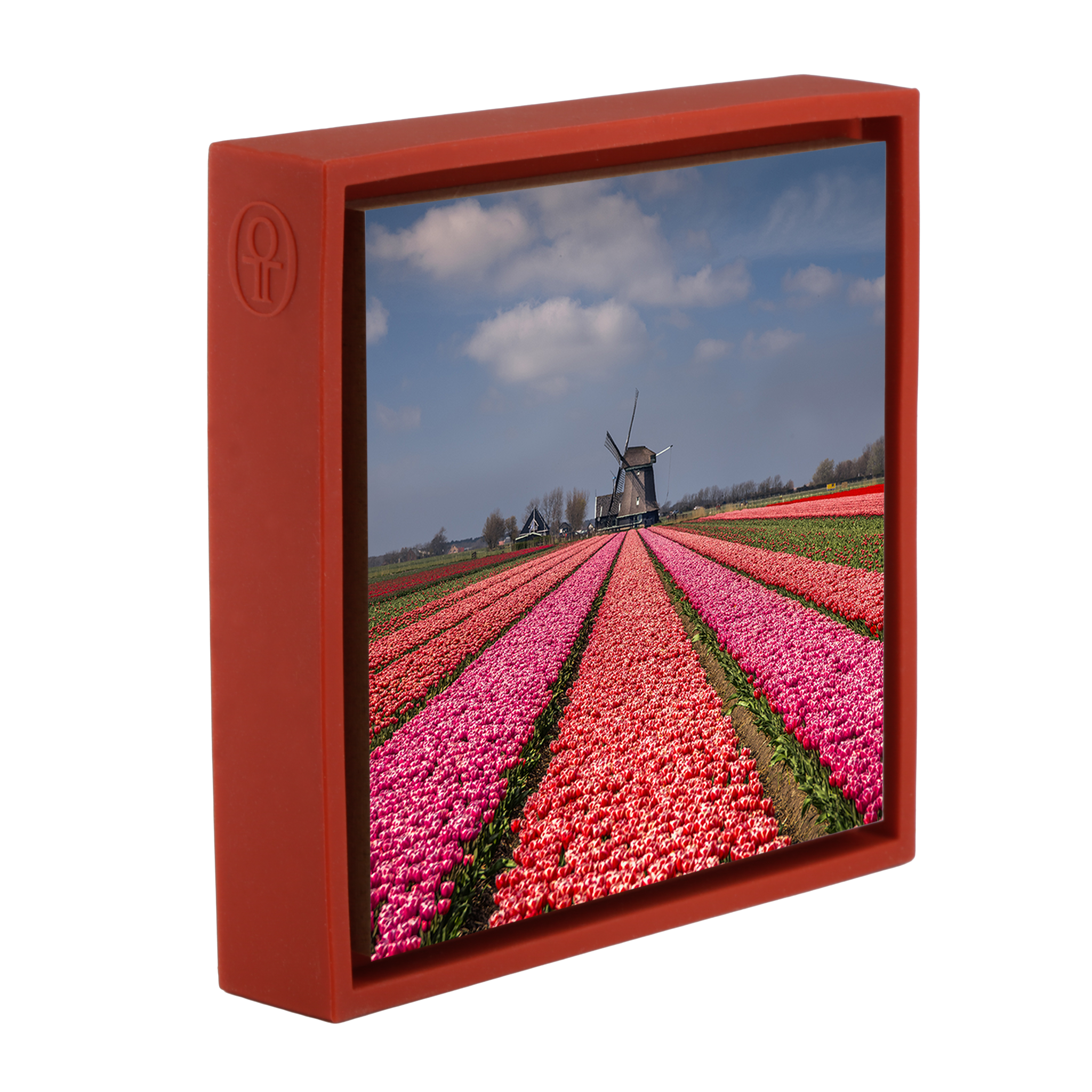 Merveilleusement néerlandais - Wrap rouge