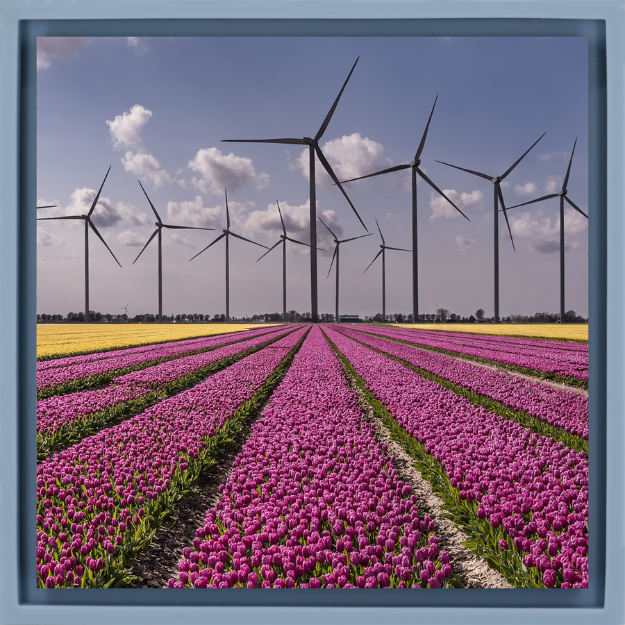 New Dutch Landscape - Light Blue Wrapp