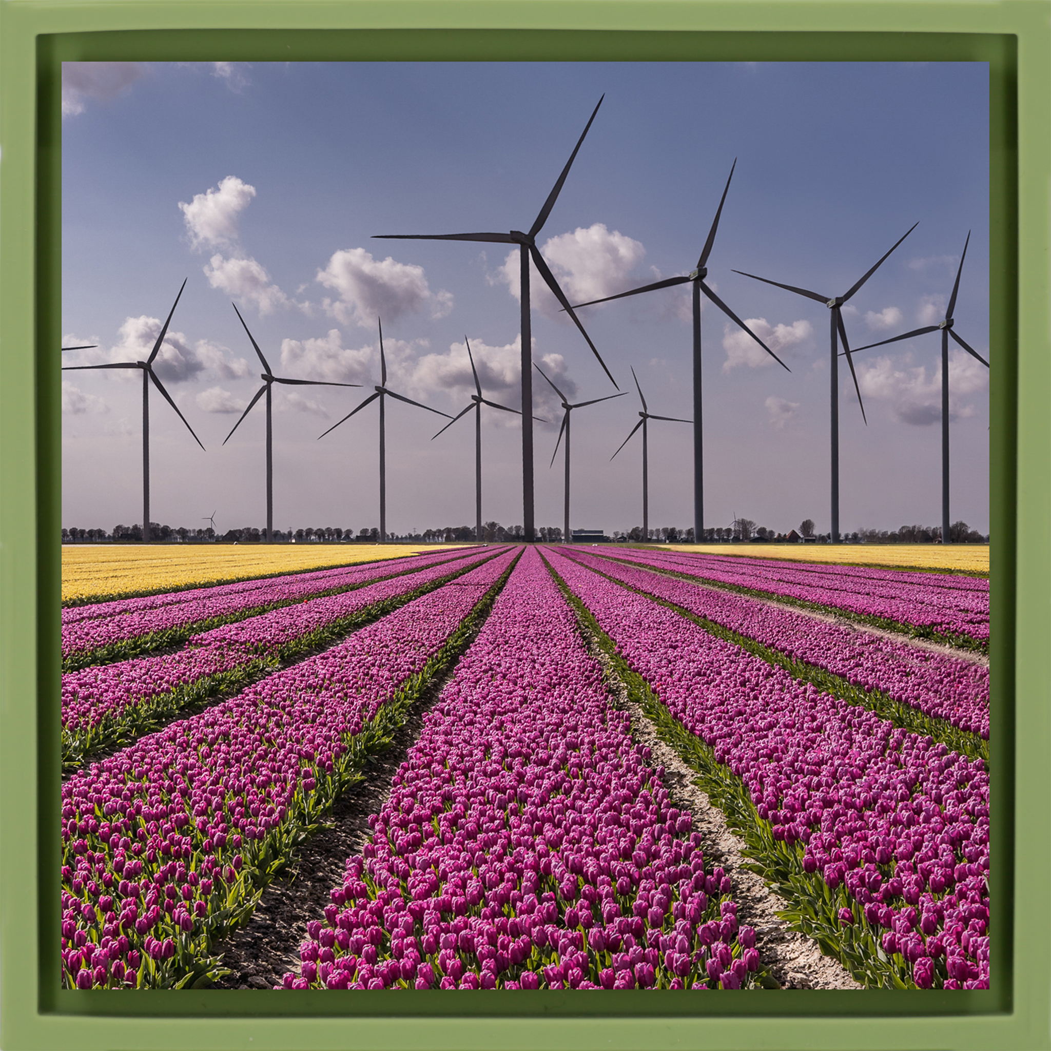 New Dutch Landscape - Lichtgroene Wrapp