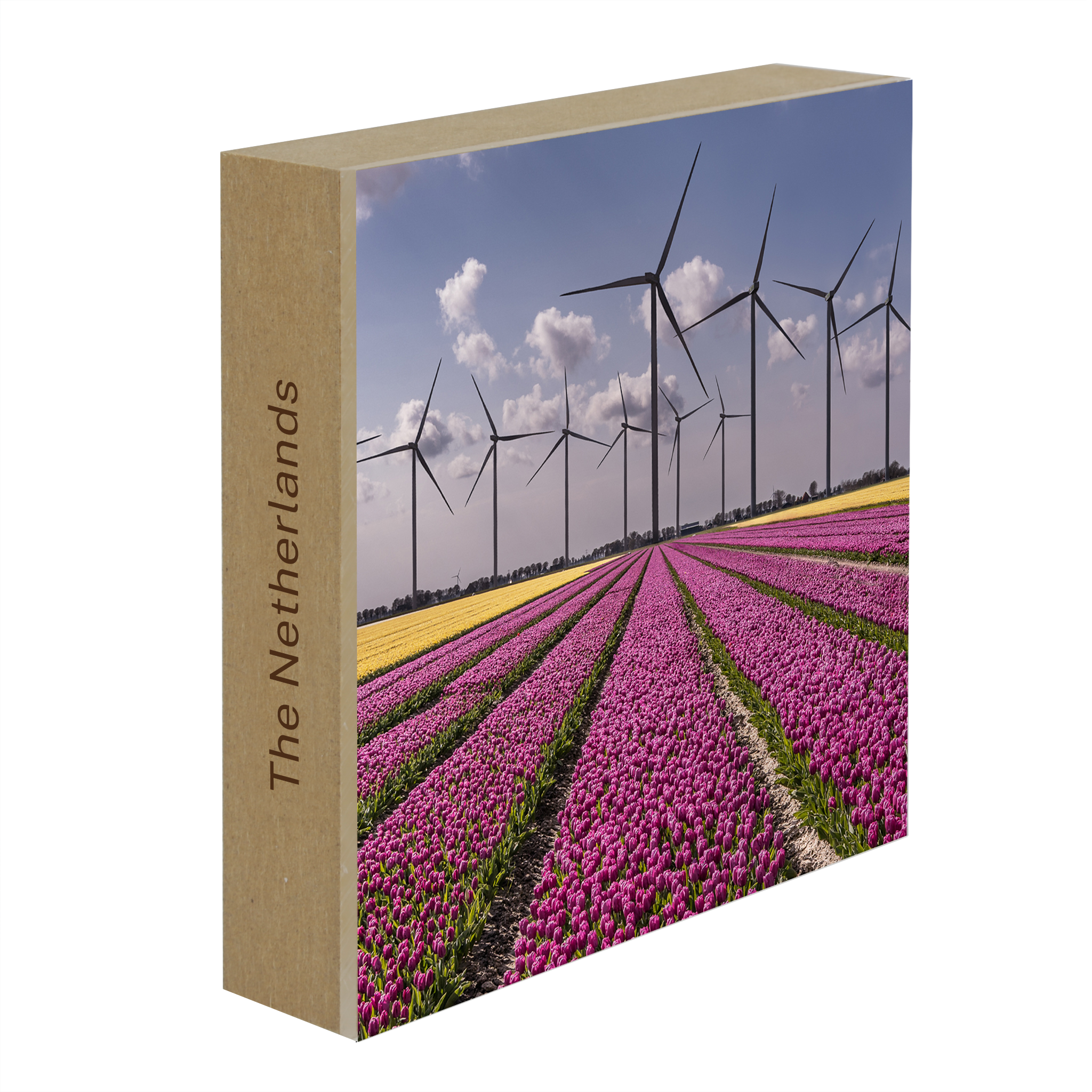 New Dutch Landscape- Collection: The Netherlands