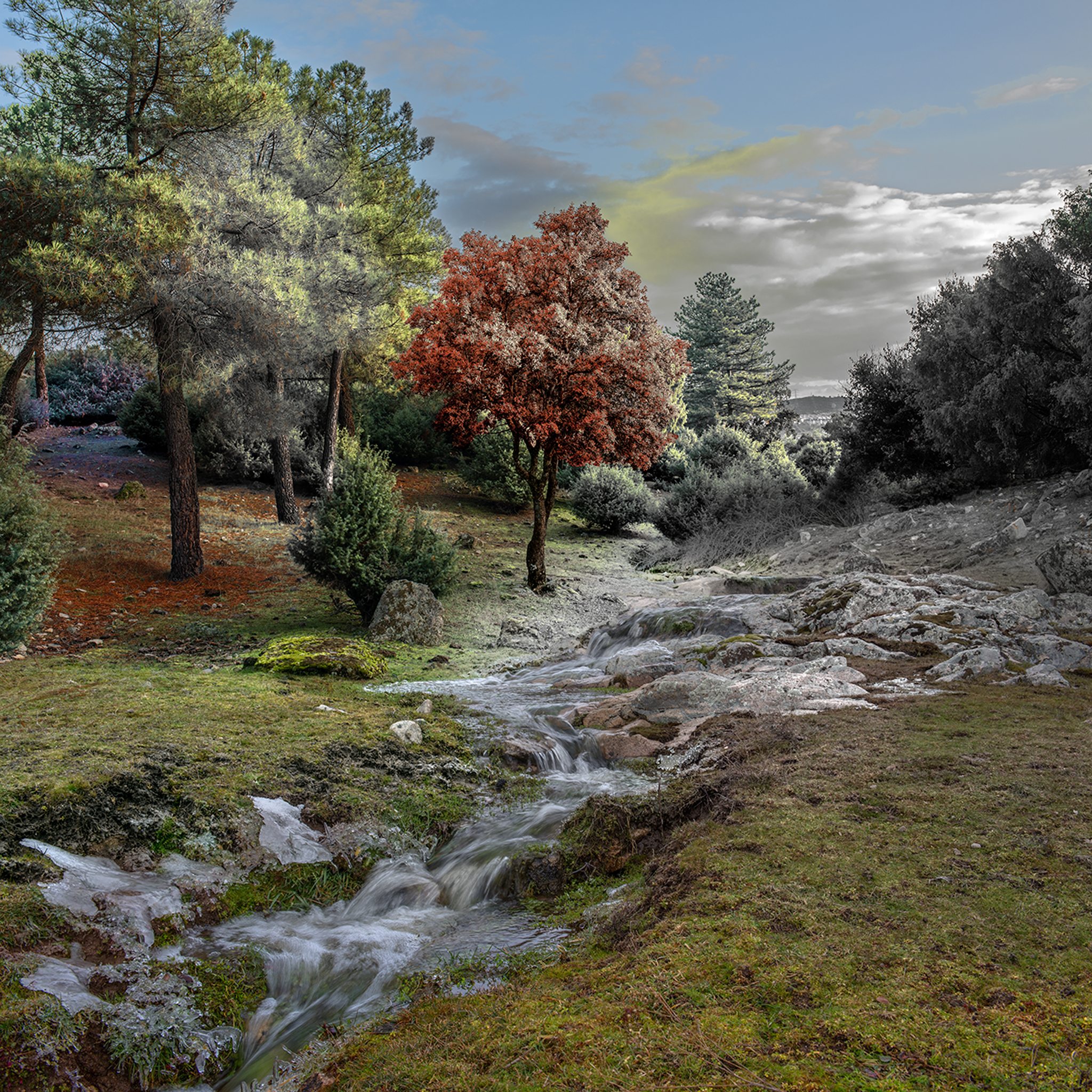 El Color de un Rio- Collection: Spain