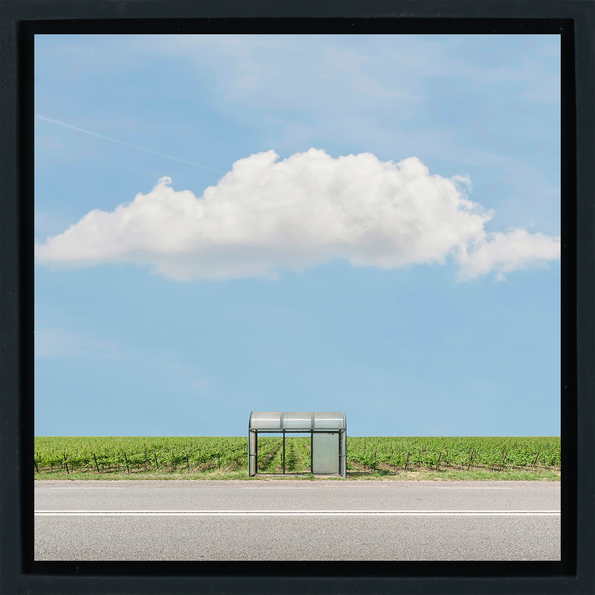 Bus Stop: The Vineyard - Zwarte Wrapp