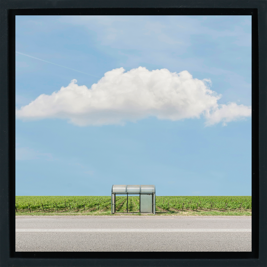 Bus Stop The Vineyard - Black Wrapp