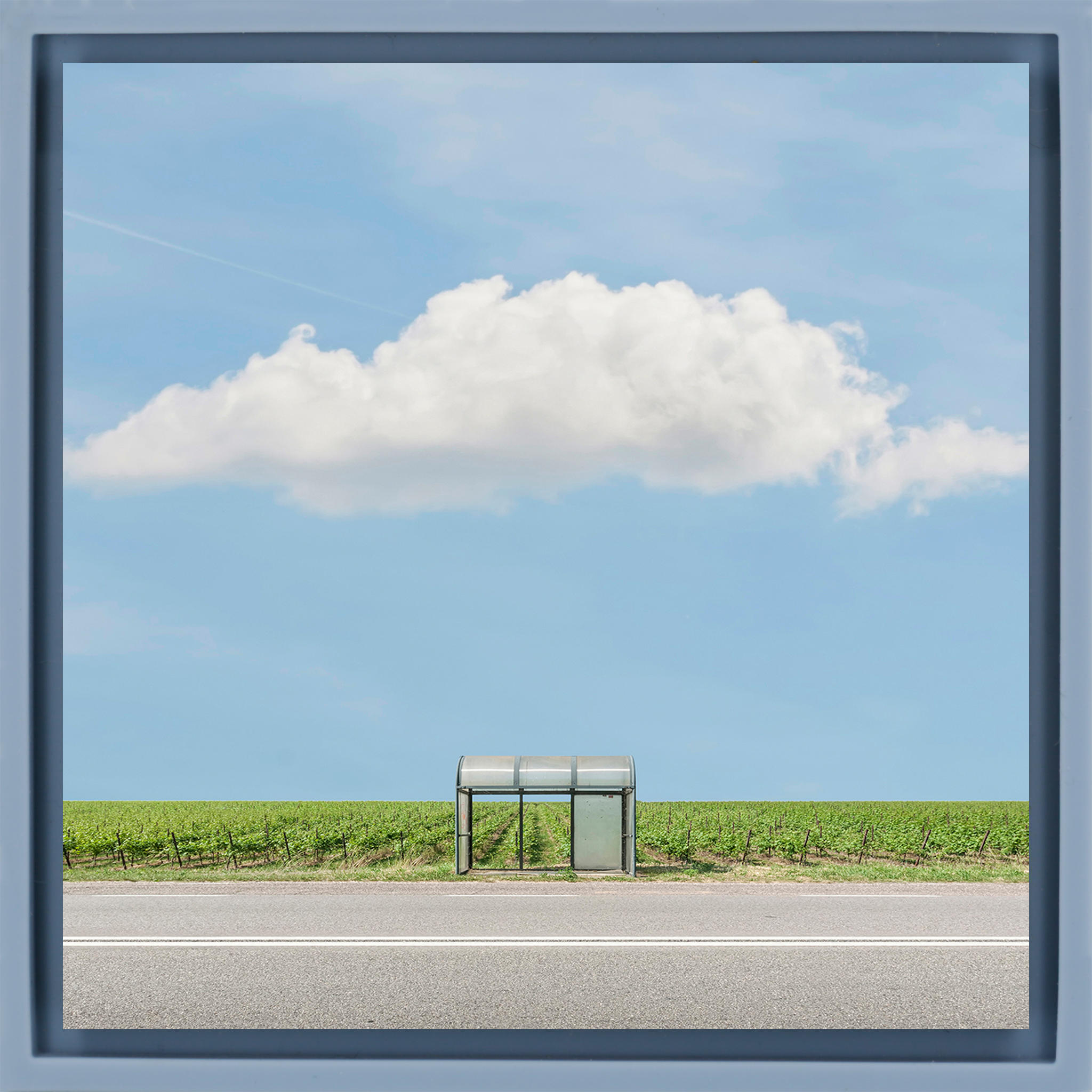 Bus Stop: The Vineyard - Lichtblauwe Wrapp