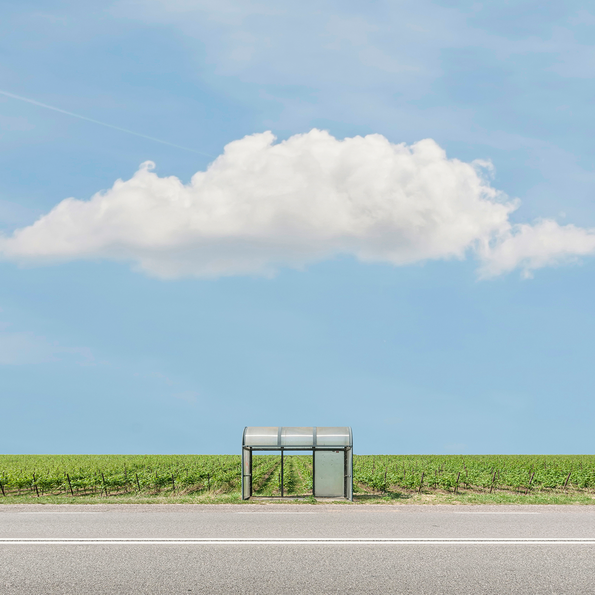Bus Stop: The Vineyard- Collection: Italy