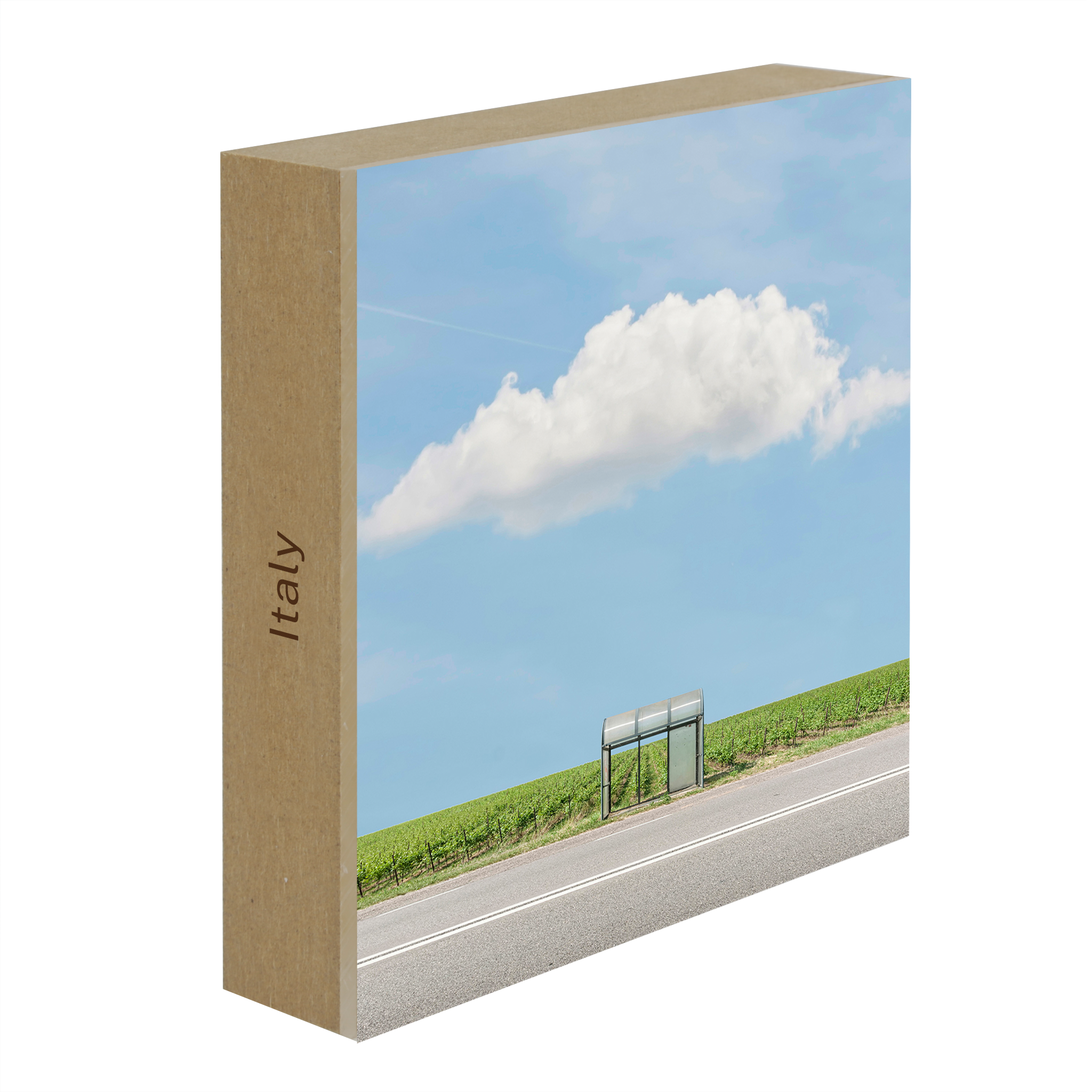 Bus Stop: The Vineyard- Collection: Italy