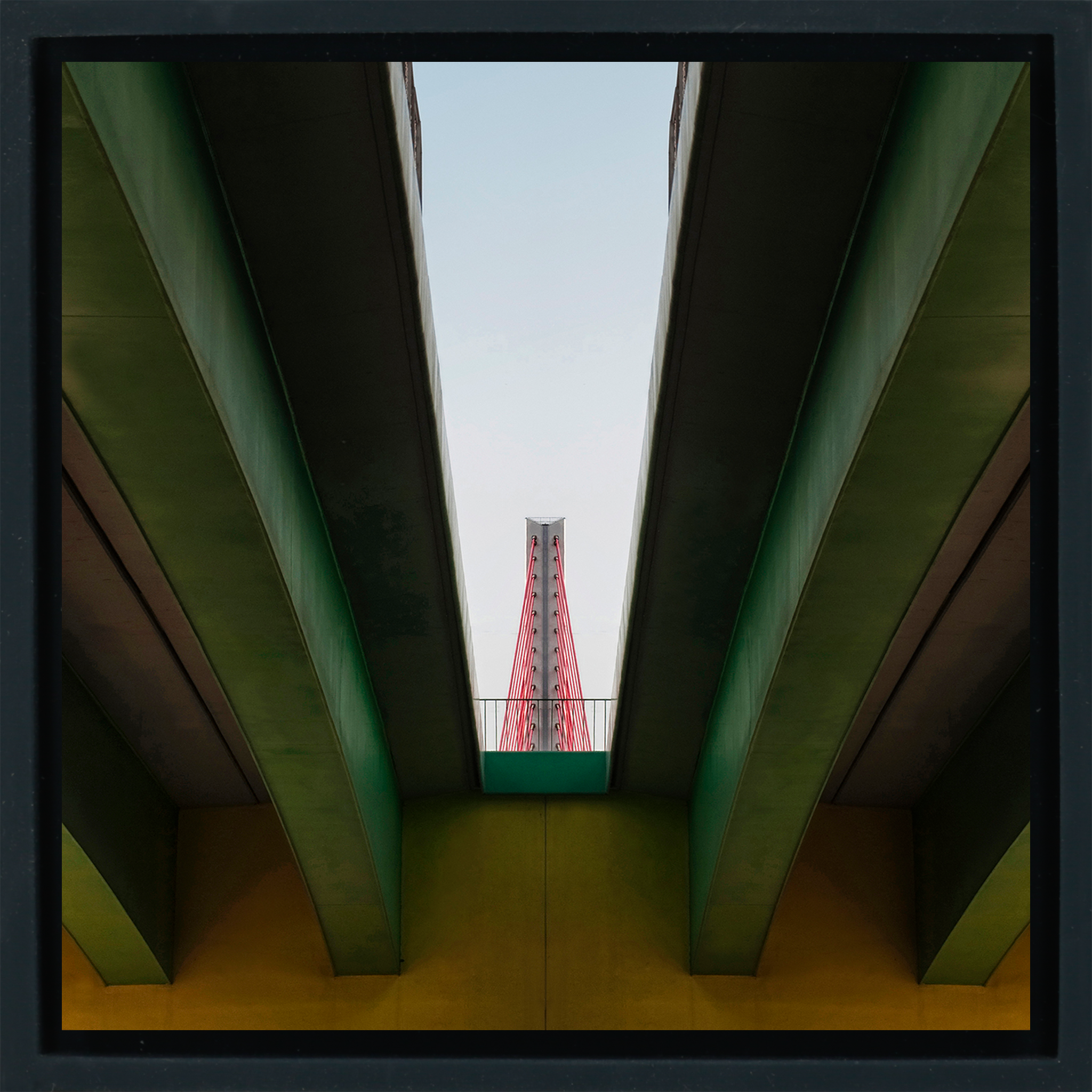 Sight Line- Black Wrapp