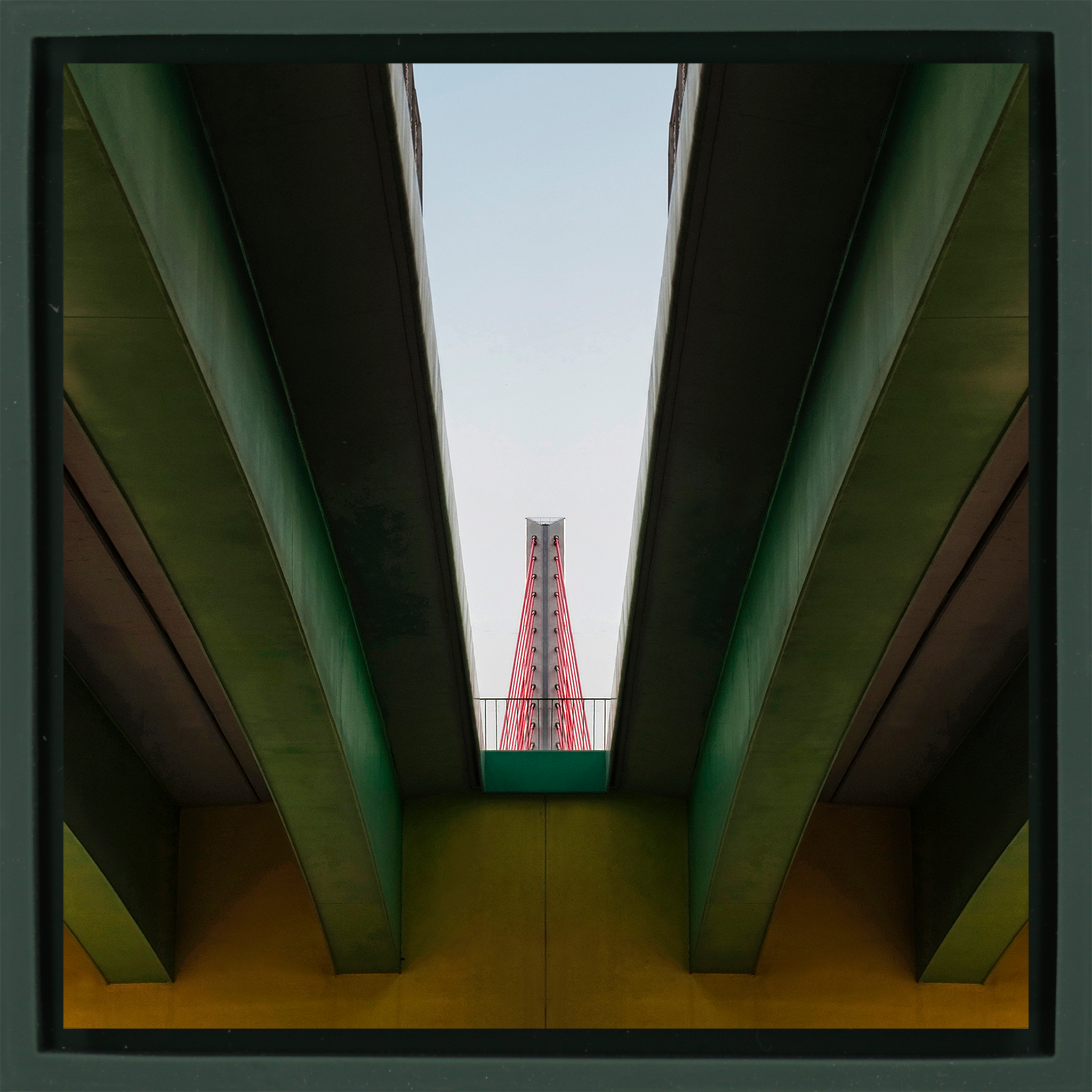 Sight Line- Dark Green Wrapp