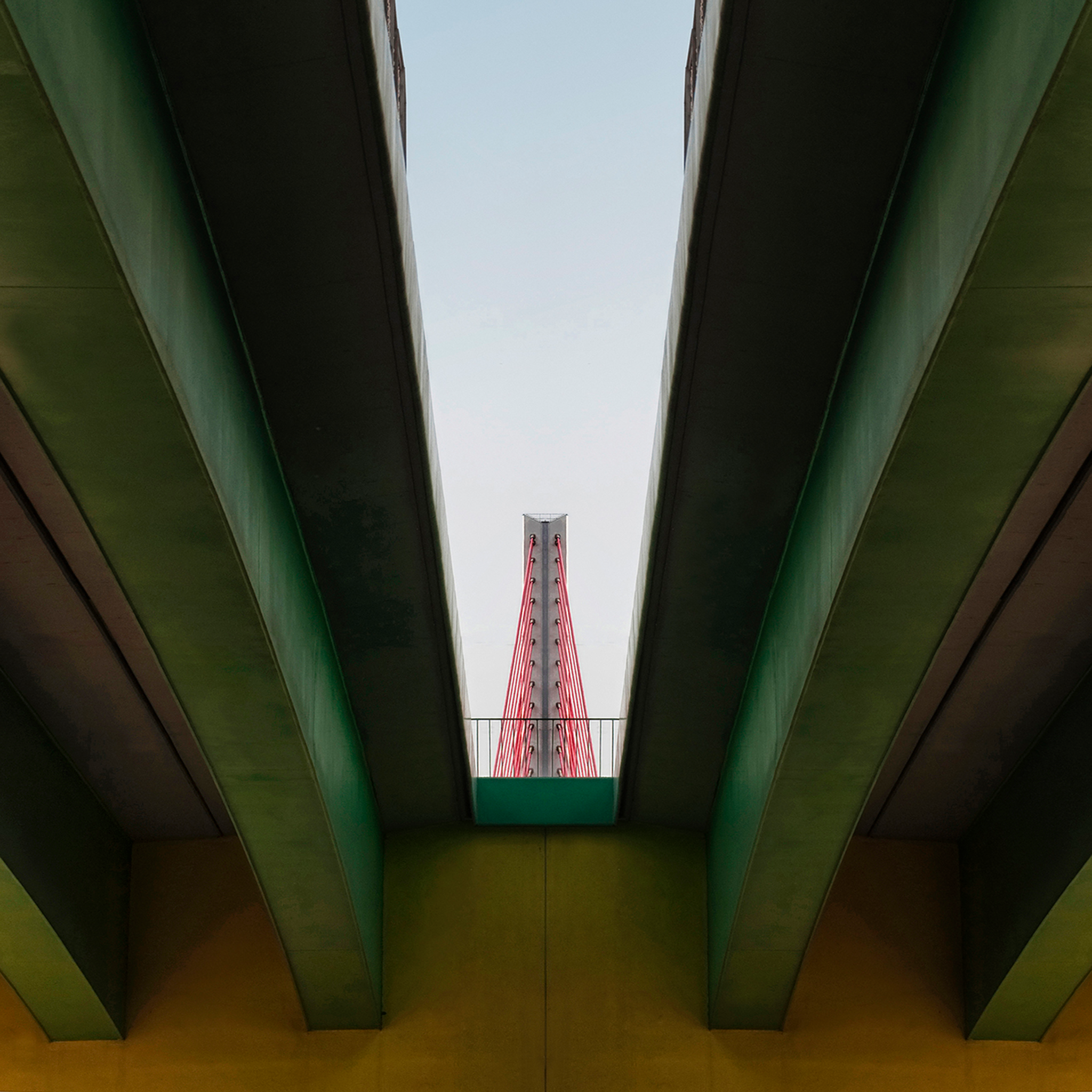 Sight Line- Collection: Poland