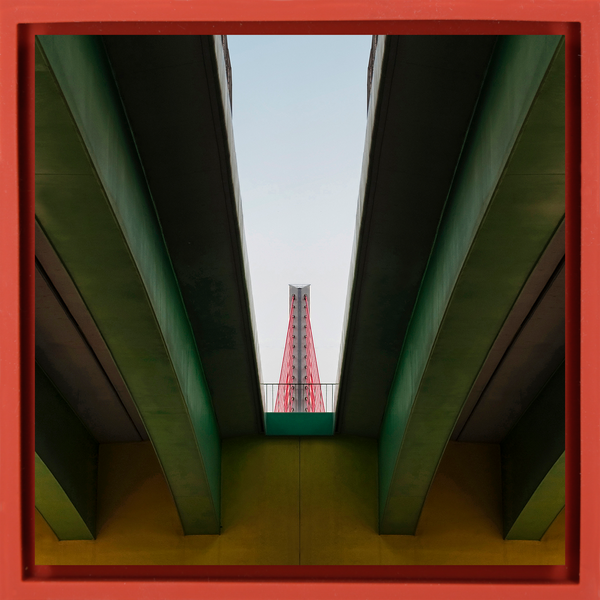 Sight Line- Red Wrapp