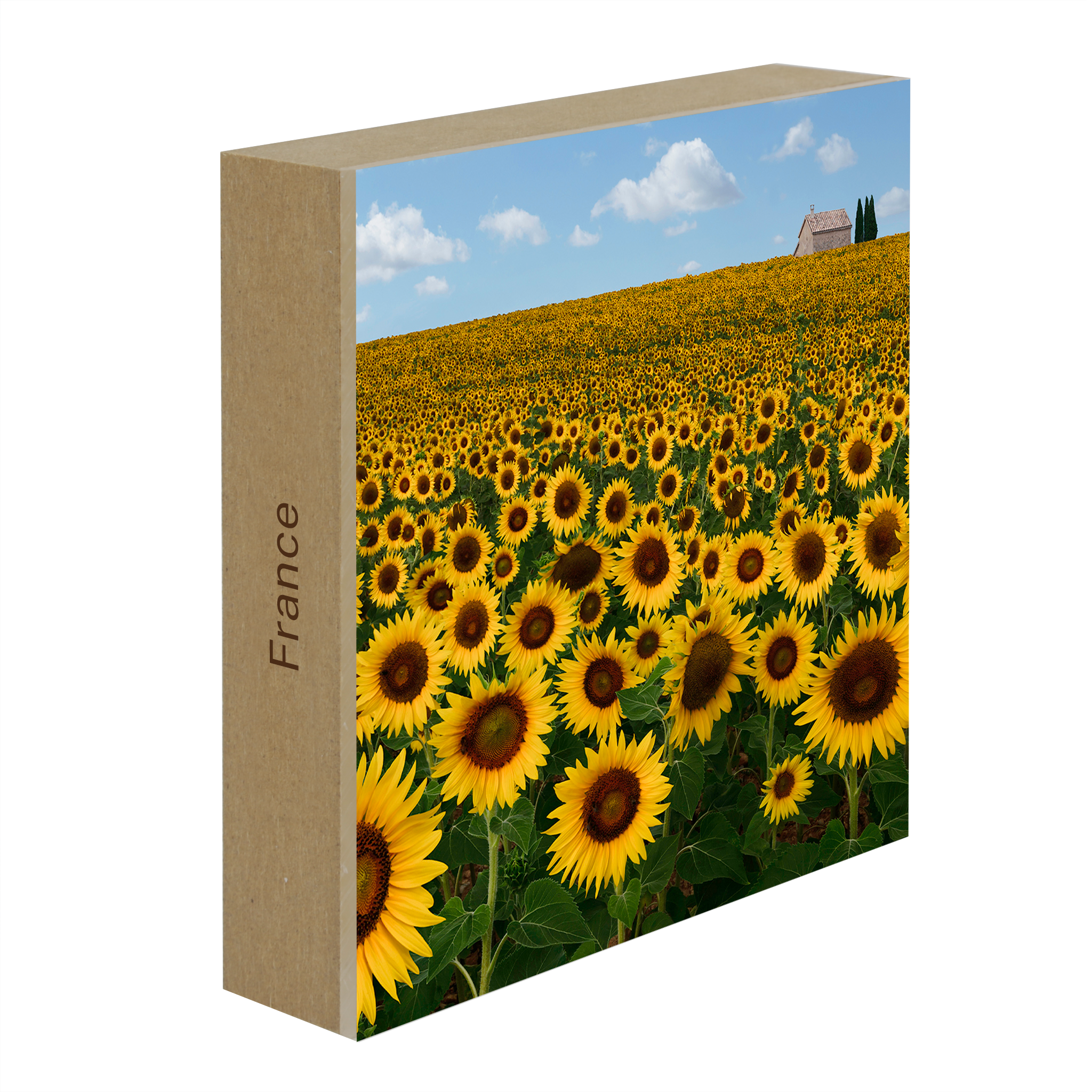 Le Beau Soleil- Collection: France