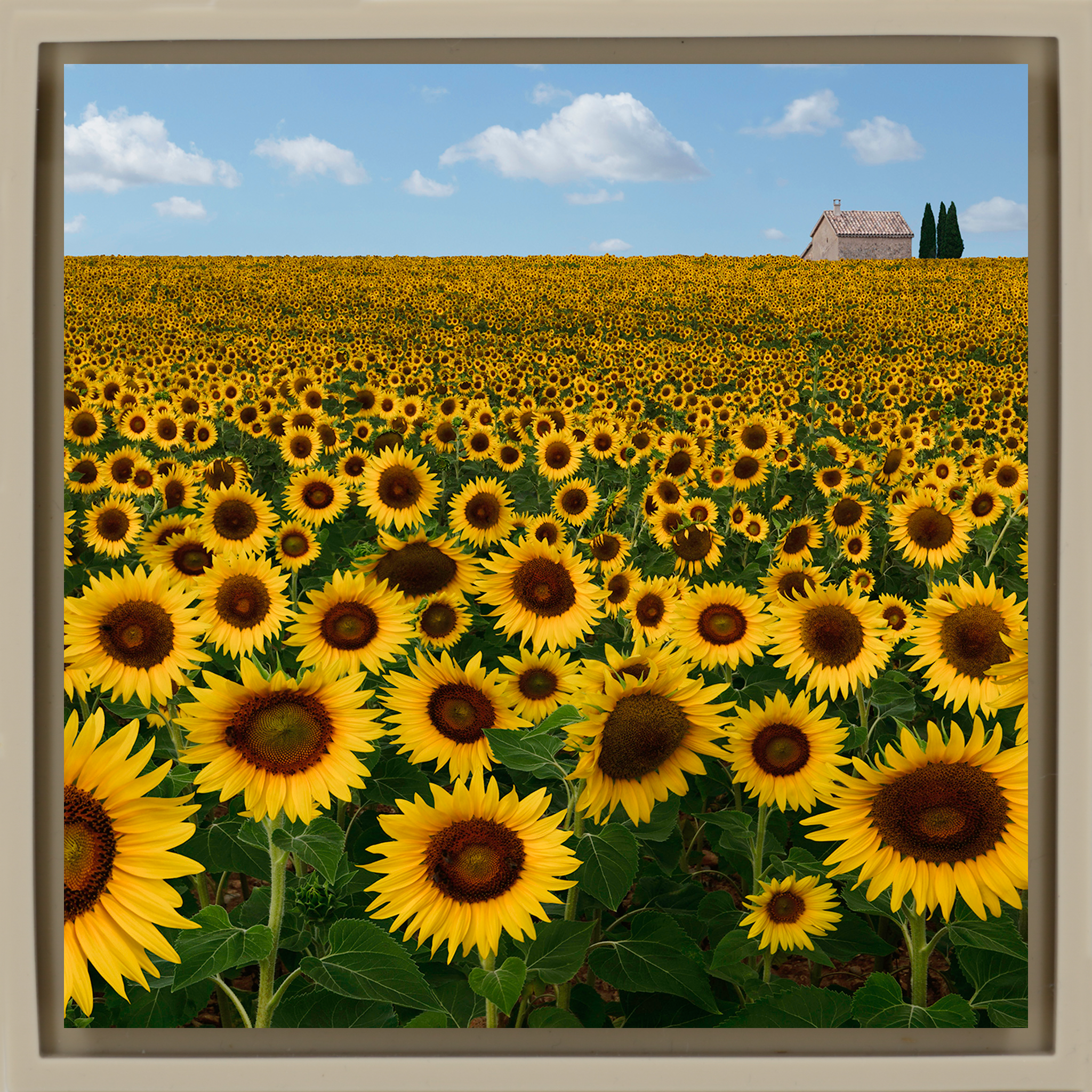 Le Beau Soleil - Sand Wrapp