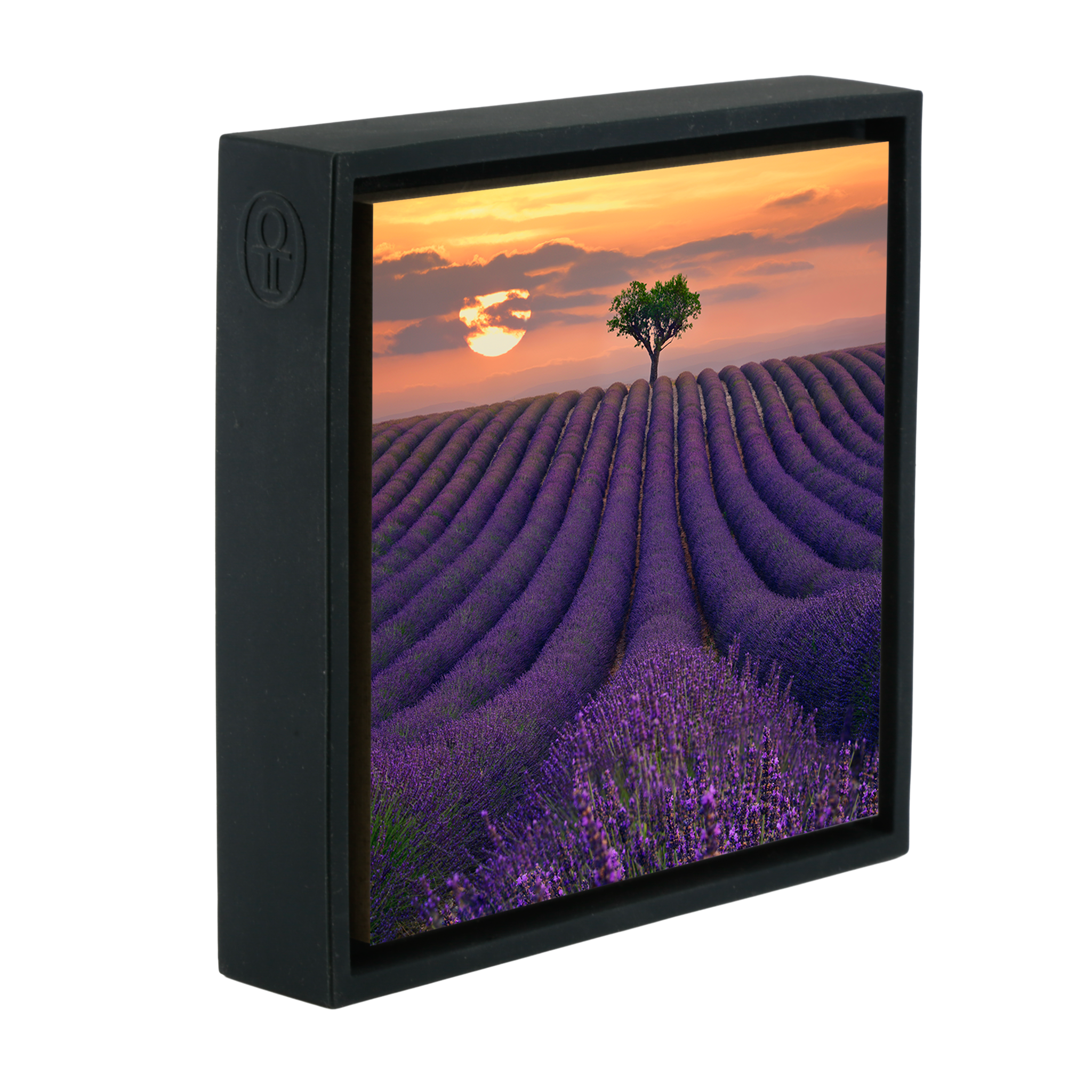 For the Love of Lavender- Black Wrapp