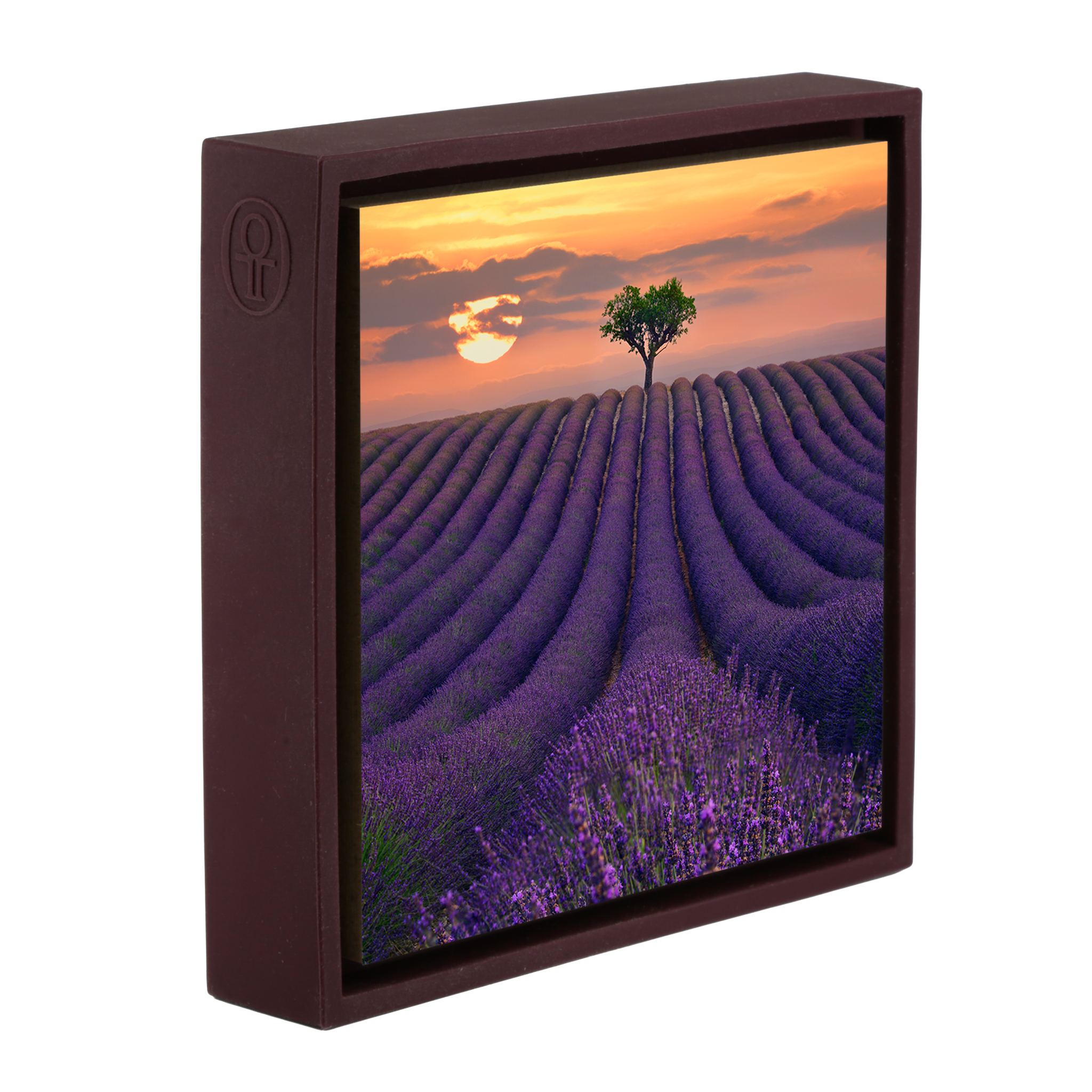 For the Love of Lavender- Purple Wrapp