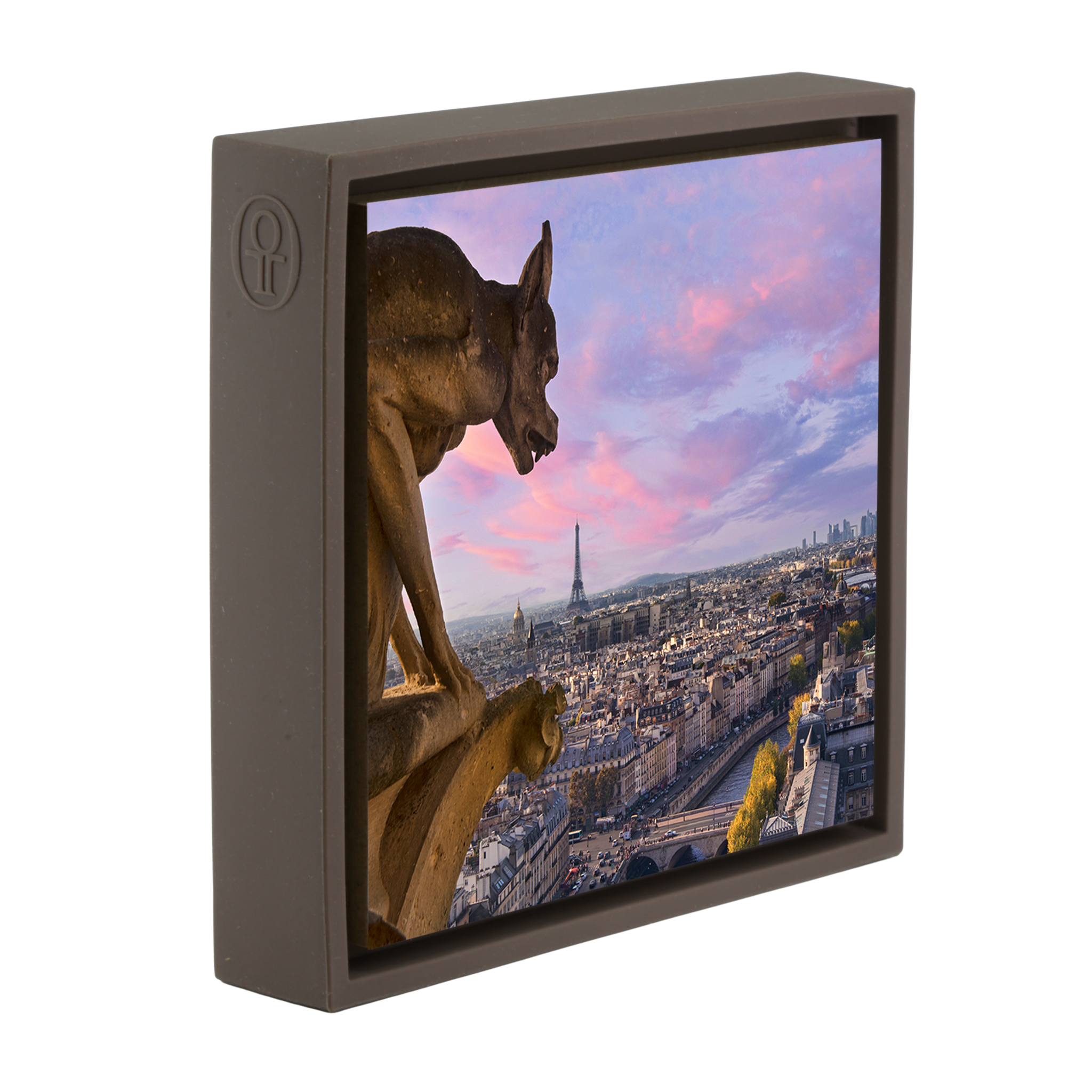 View from Notre Dame- Brown Wrapp