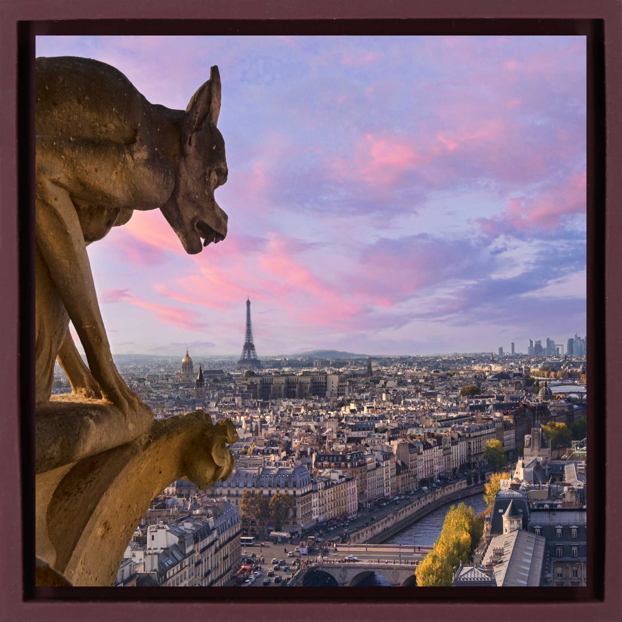 View from Notre Dame - Paarse Wrapp