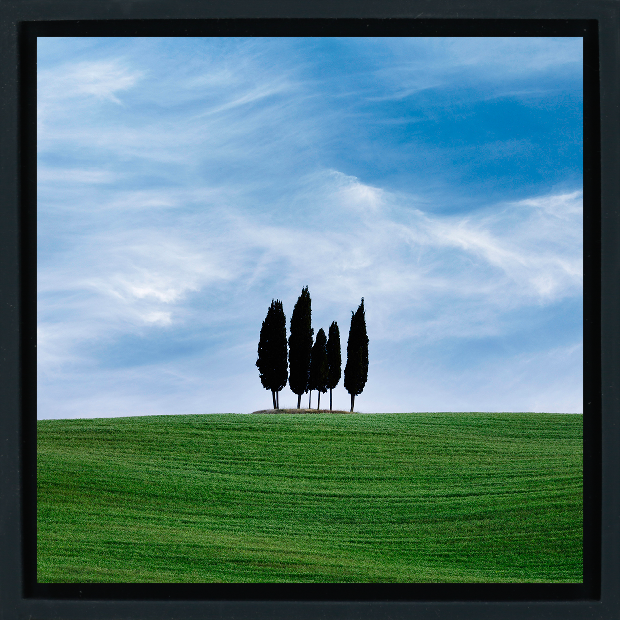 Paradiso Sula - Emballage noir