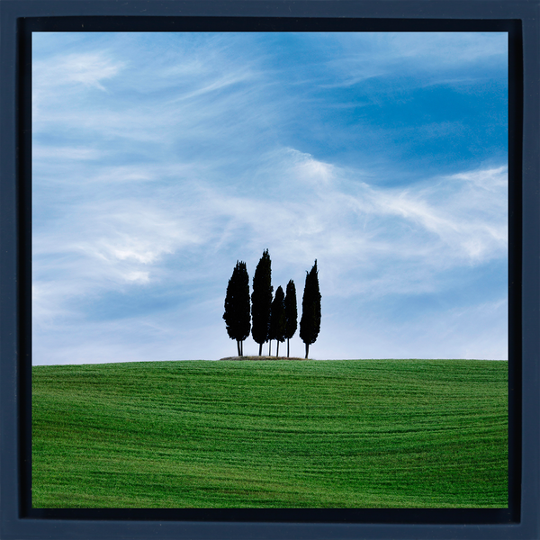 Paradiso Sula - Dark Blue Wrapp
