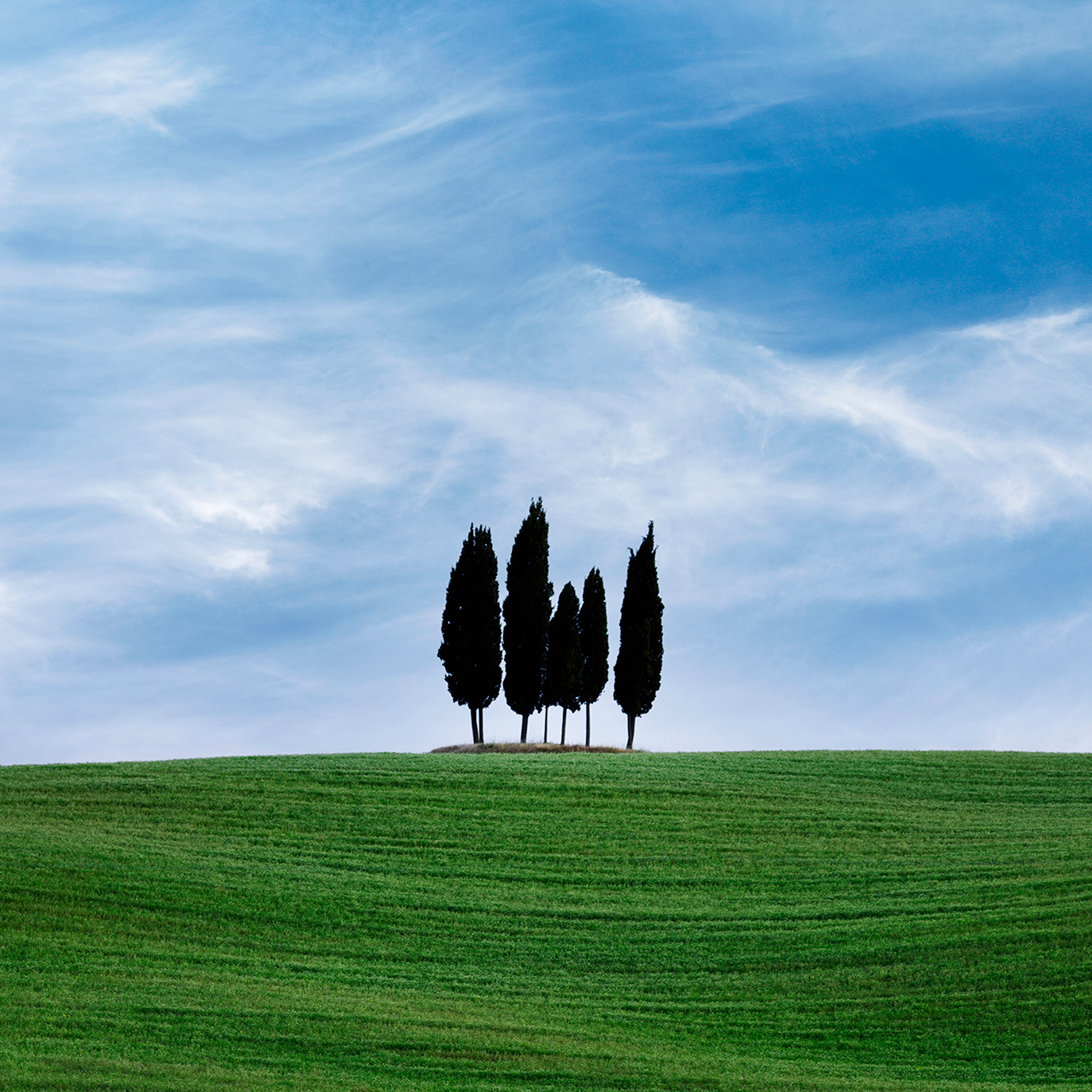 Paradiso Sula- Collection: Italy