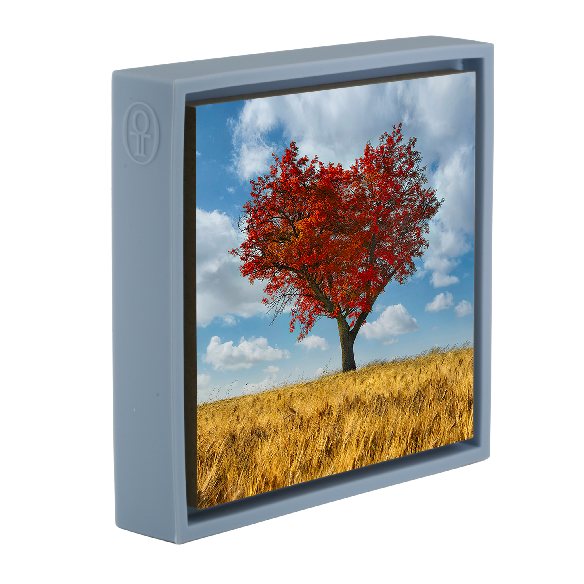 The Lonely Heart- Light Blue Wrapp