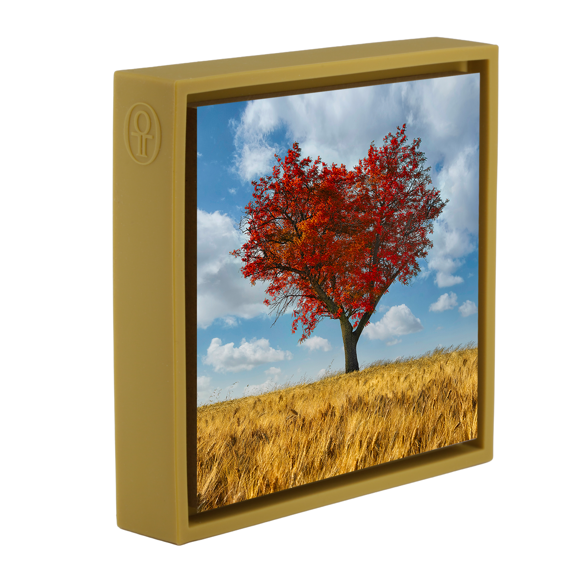 The Lonely Heart- Ochre Wrapp