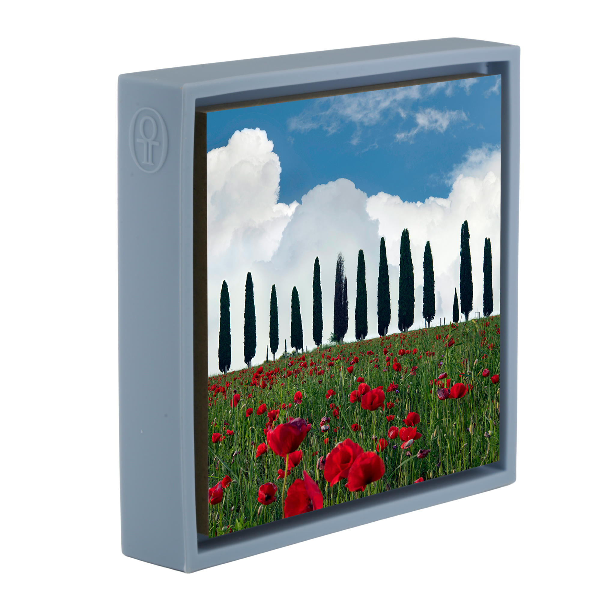 Tuscan Blooms - Lichtblauwe Wrapp