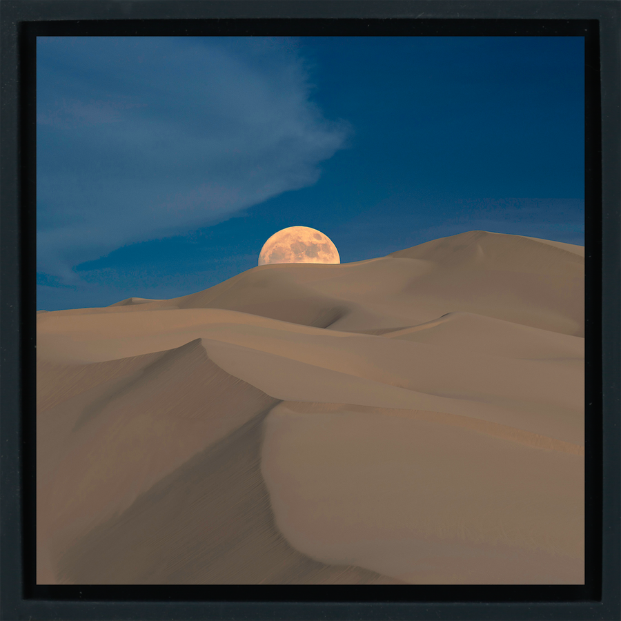 Desert Veil - Black Wrapp