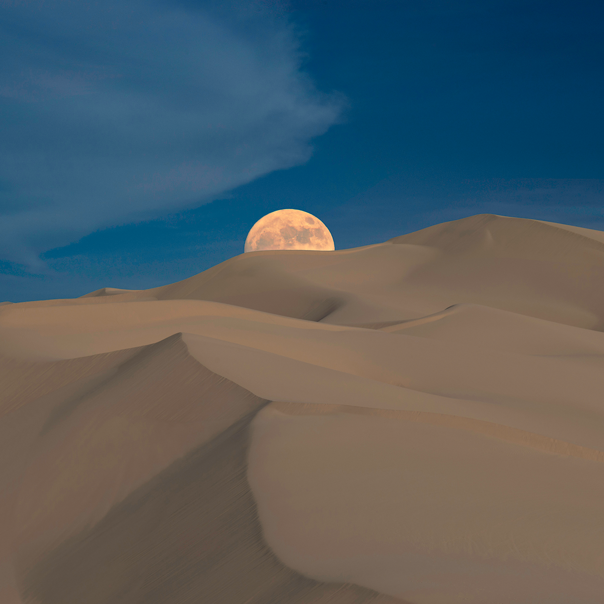 Voile du désert - Collection : États-Unis