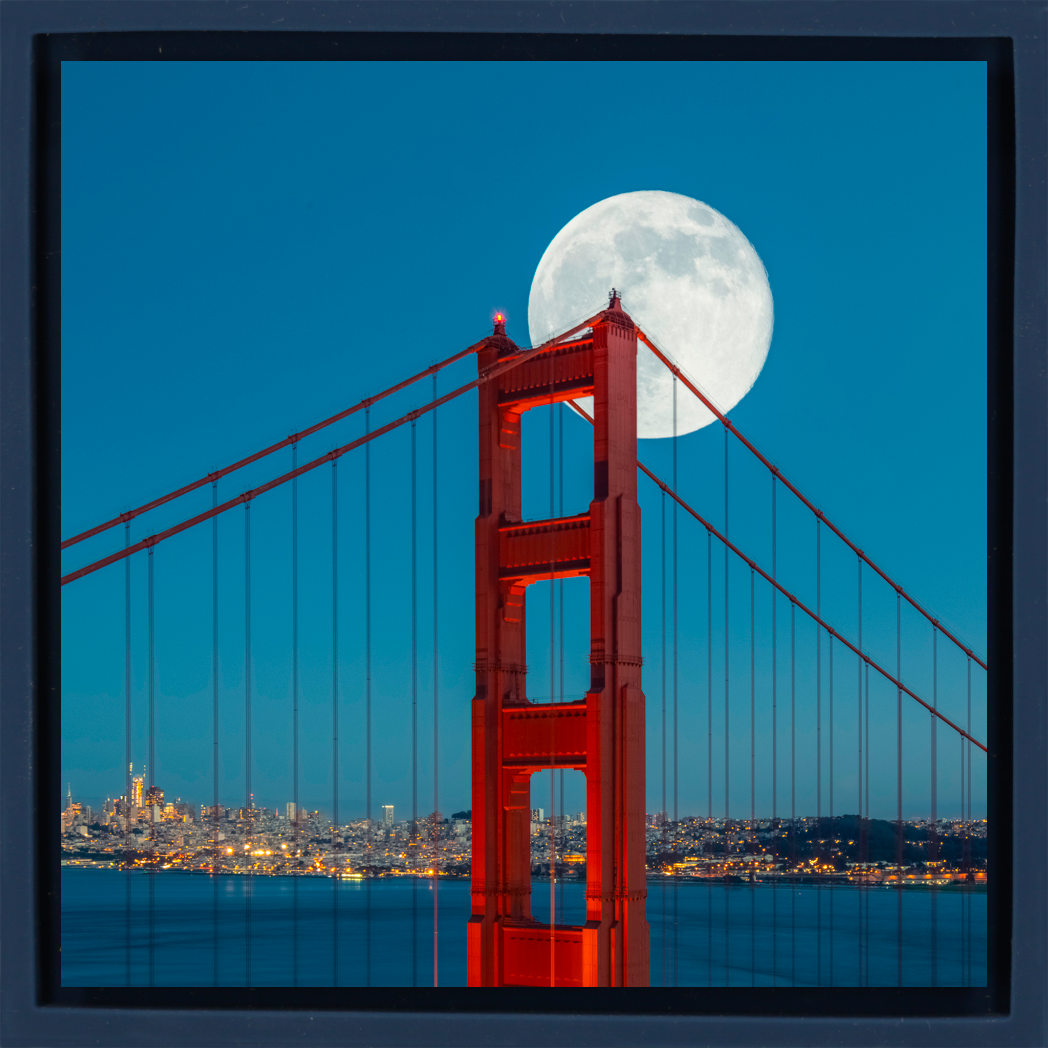 San Francisco Bliss- Dark Blue Wrapp