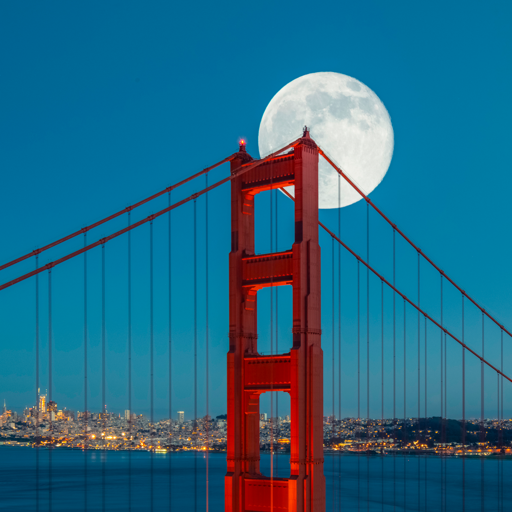 San Francisco Bliss- Collectie: VS