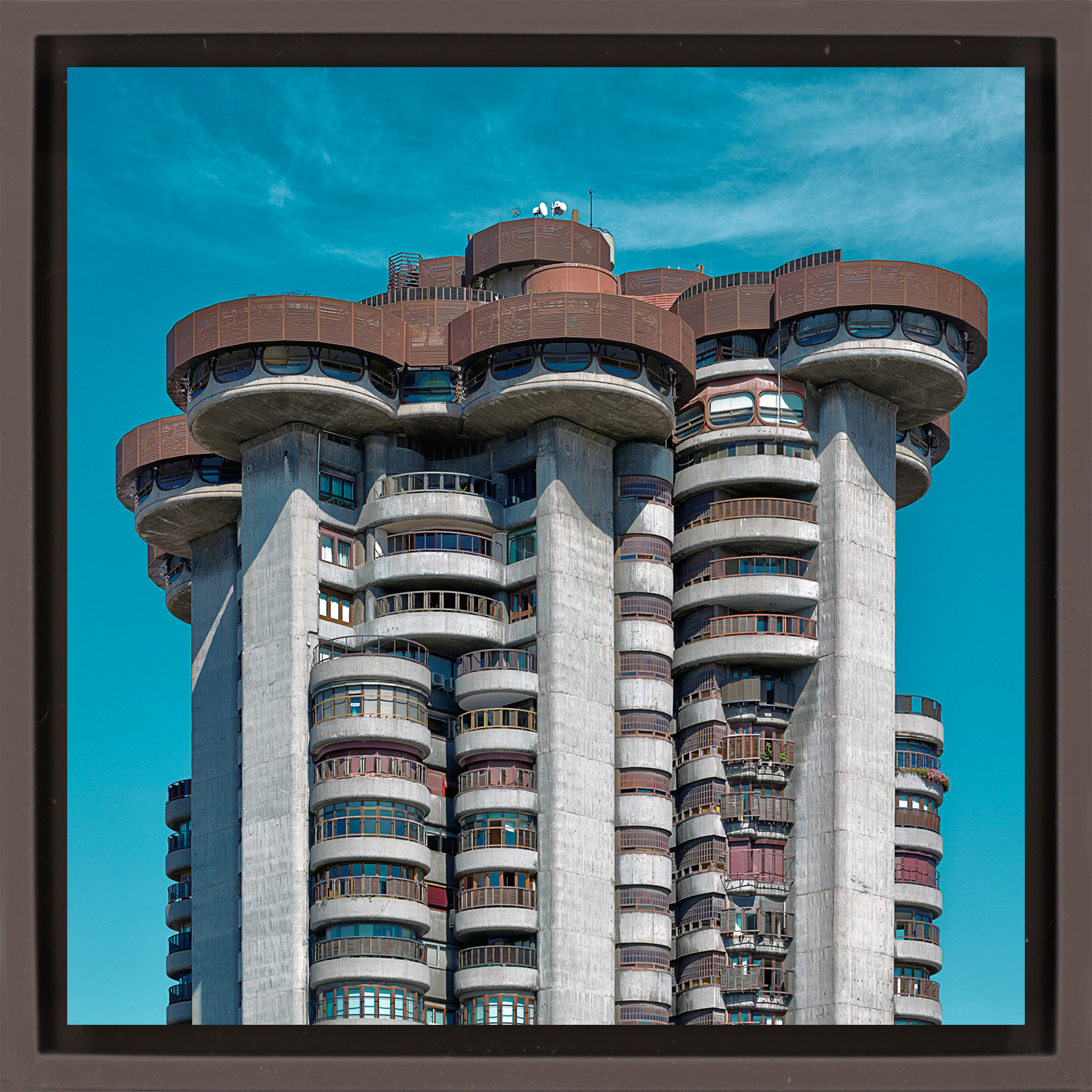 Torres Blancas - Brown Wrap