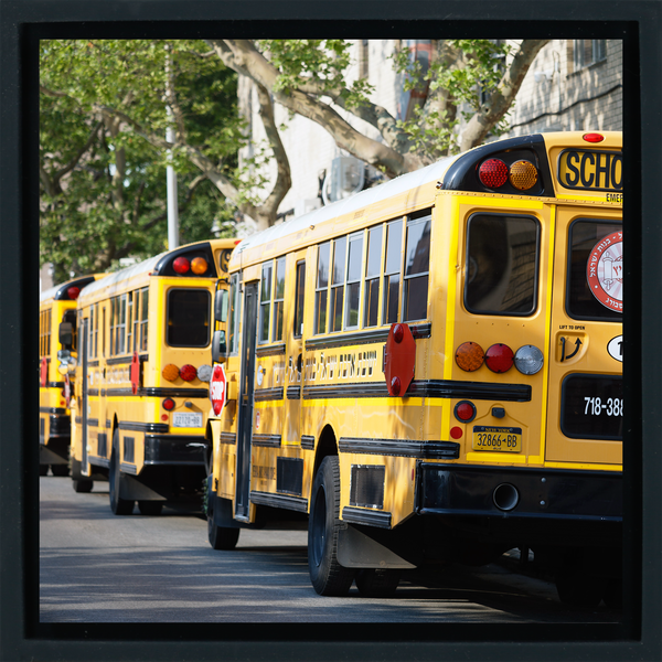 Hasidic School Busses - Black Wrapp