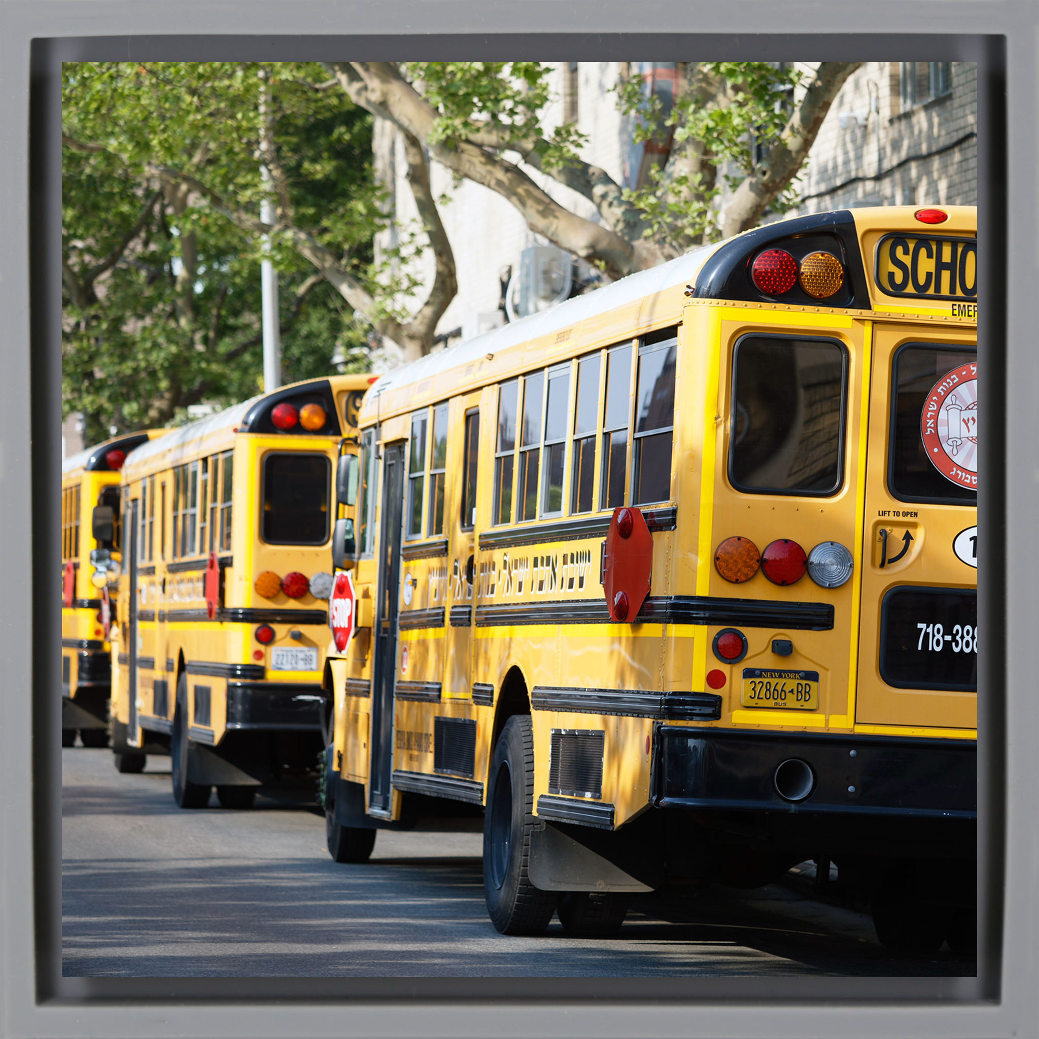 Hasidic School Busses- Grey Wrapp