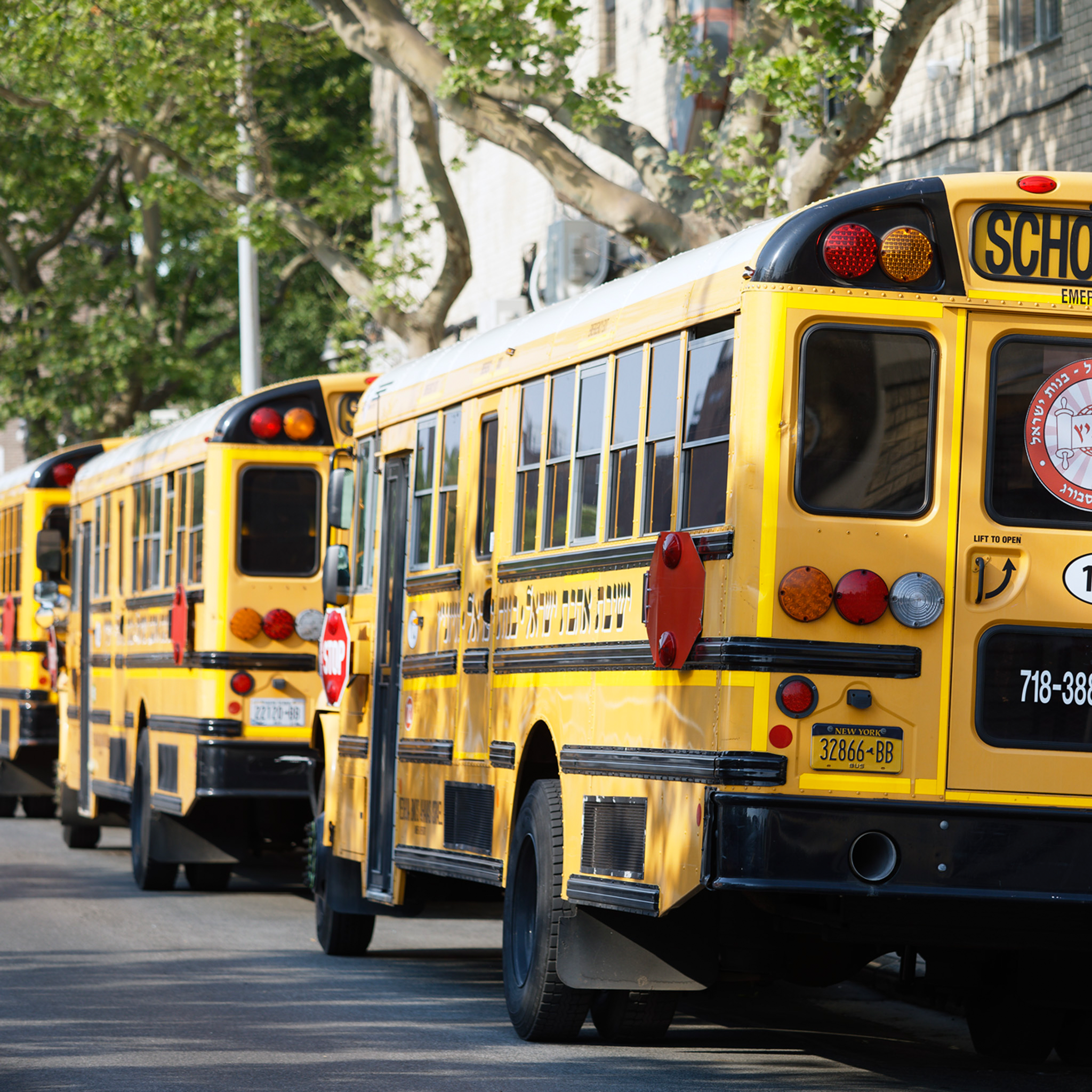 Hasidic School Busses- Collection: USA