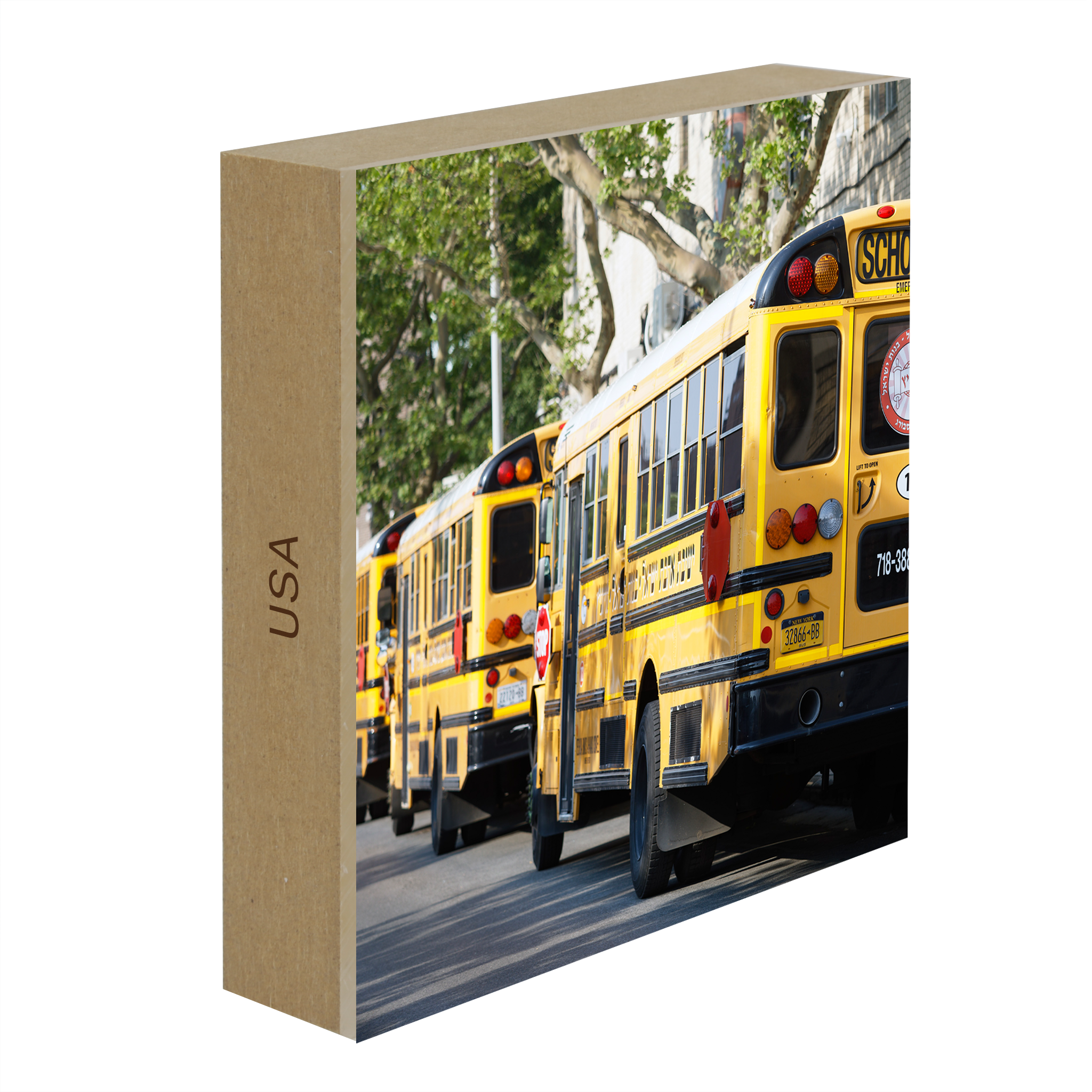 Hasidic School Busses- Collection: USA