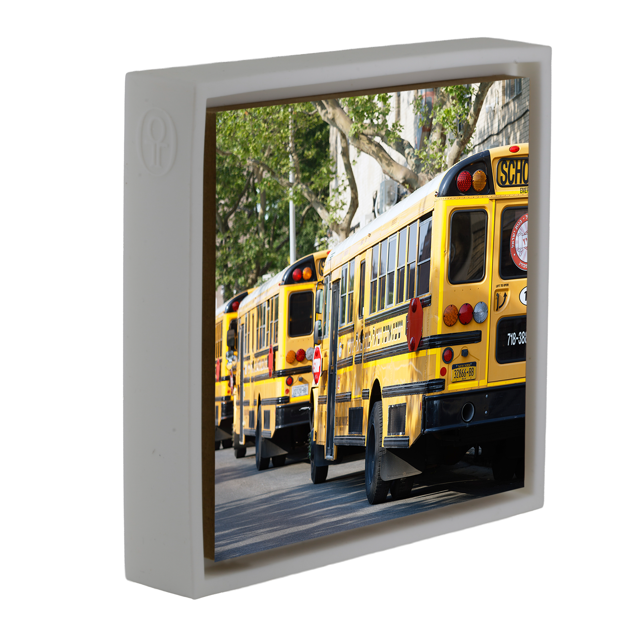 Bus scolaires hassidiques - Emballage blanc